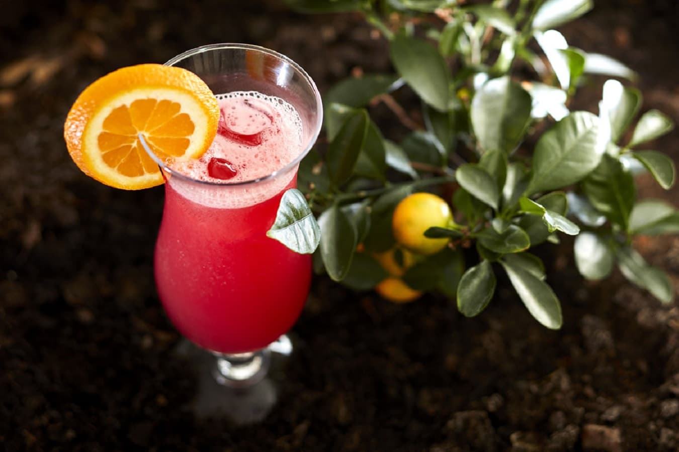 Santa Eulália Hotel Apartamento & Spa, Bar