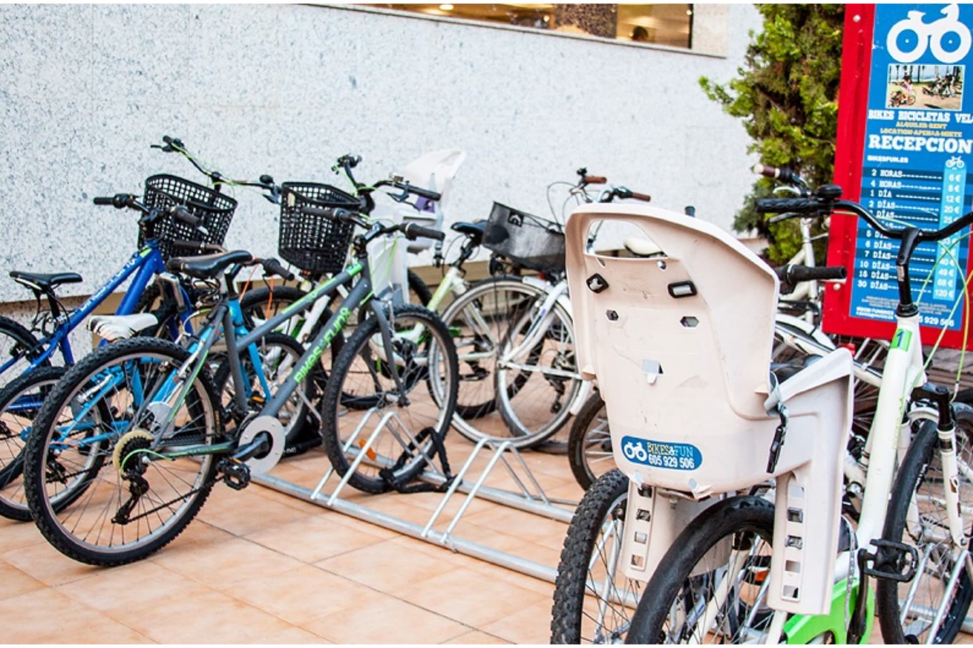 Olimar II, Sports and Entertainment