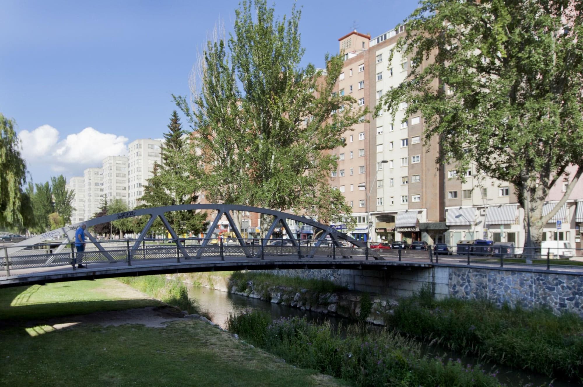 Rice Reyes Católicos, General view