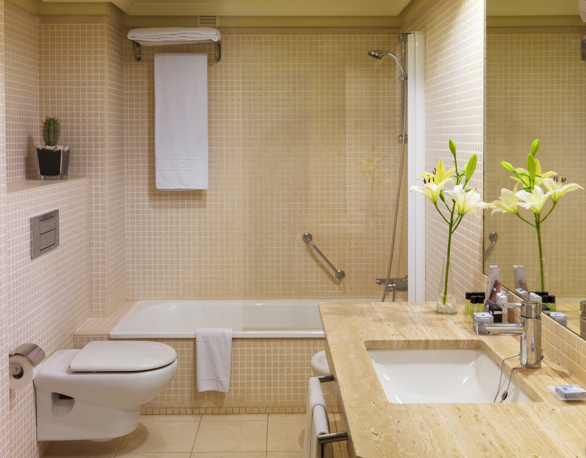 H10 Lanzarote Princess, Room