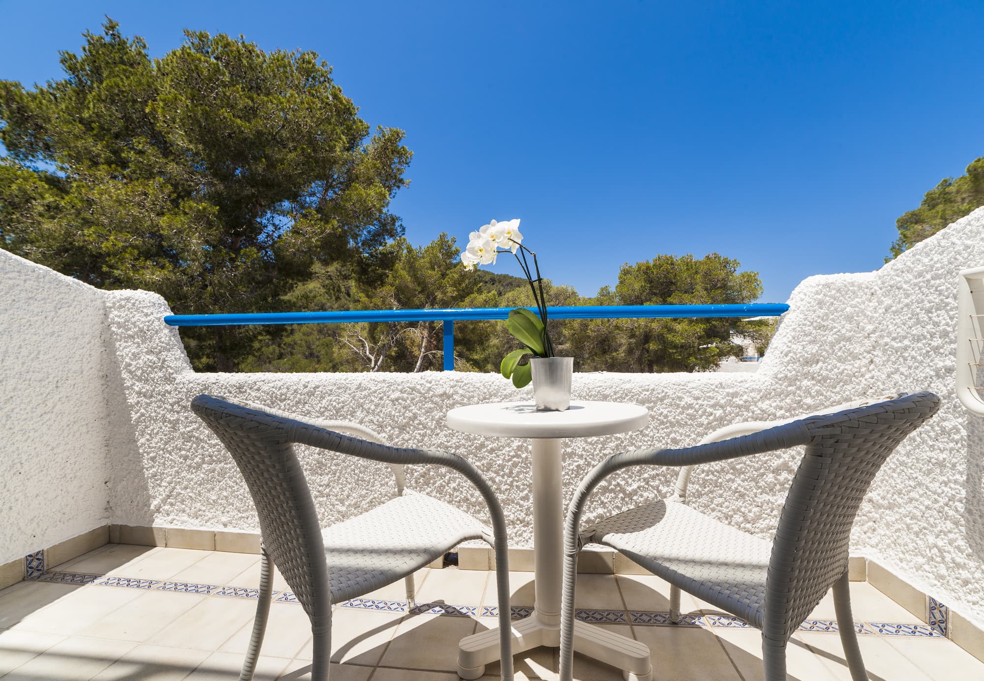 Globales Montemar, Room