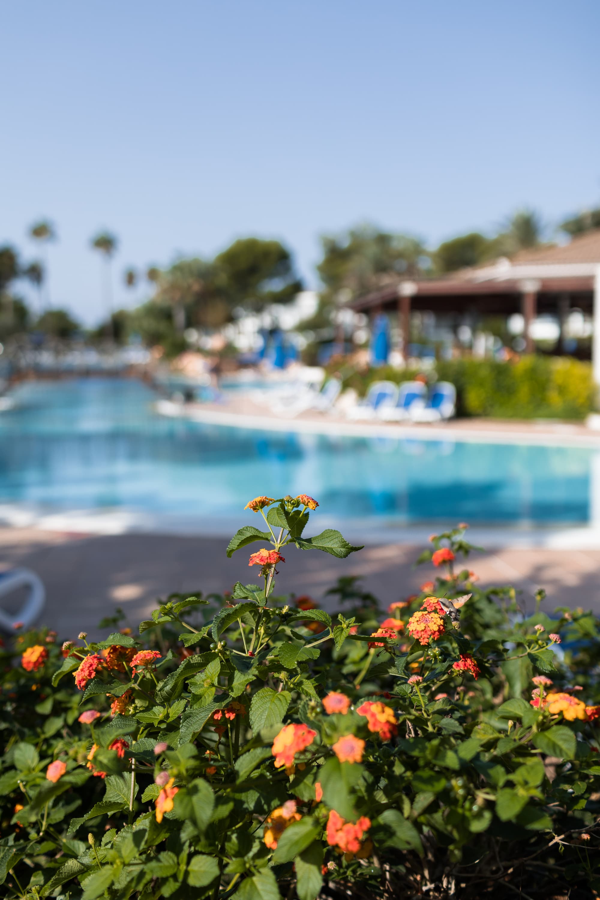 Sagitario Princesa Playa, General view