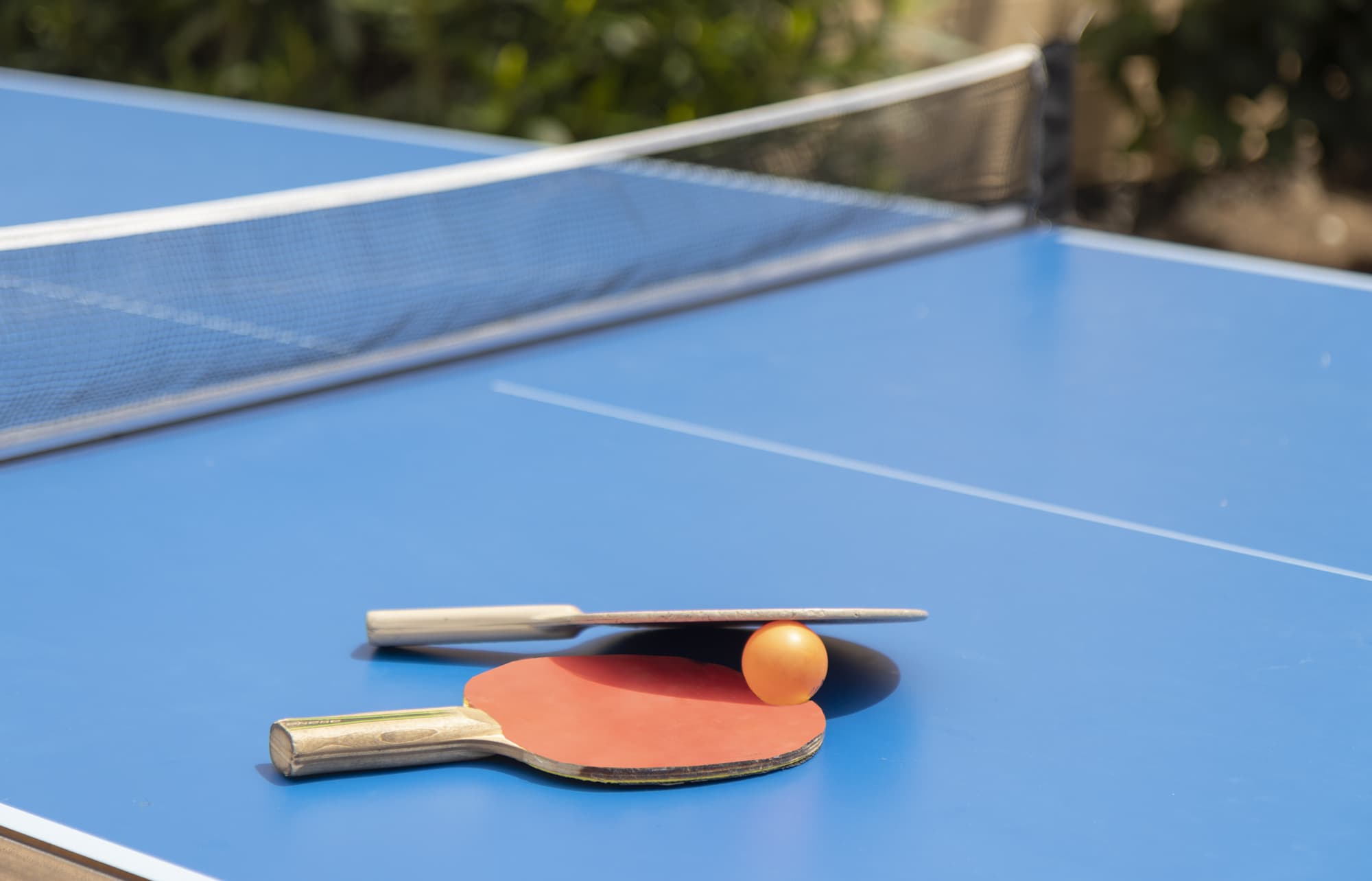 Hotel Palia Don Pedro, Sports and Entertainment