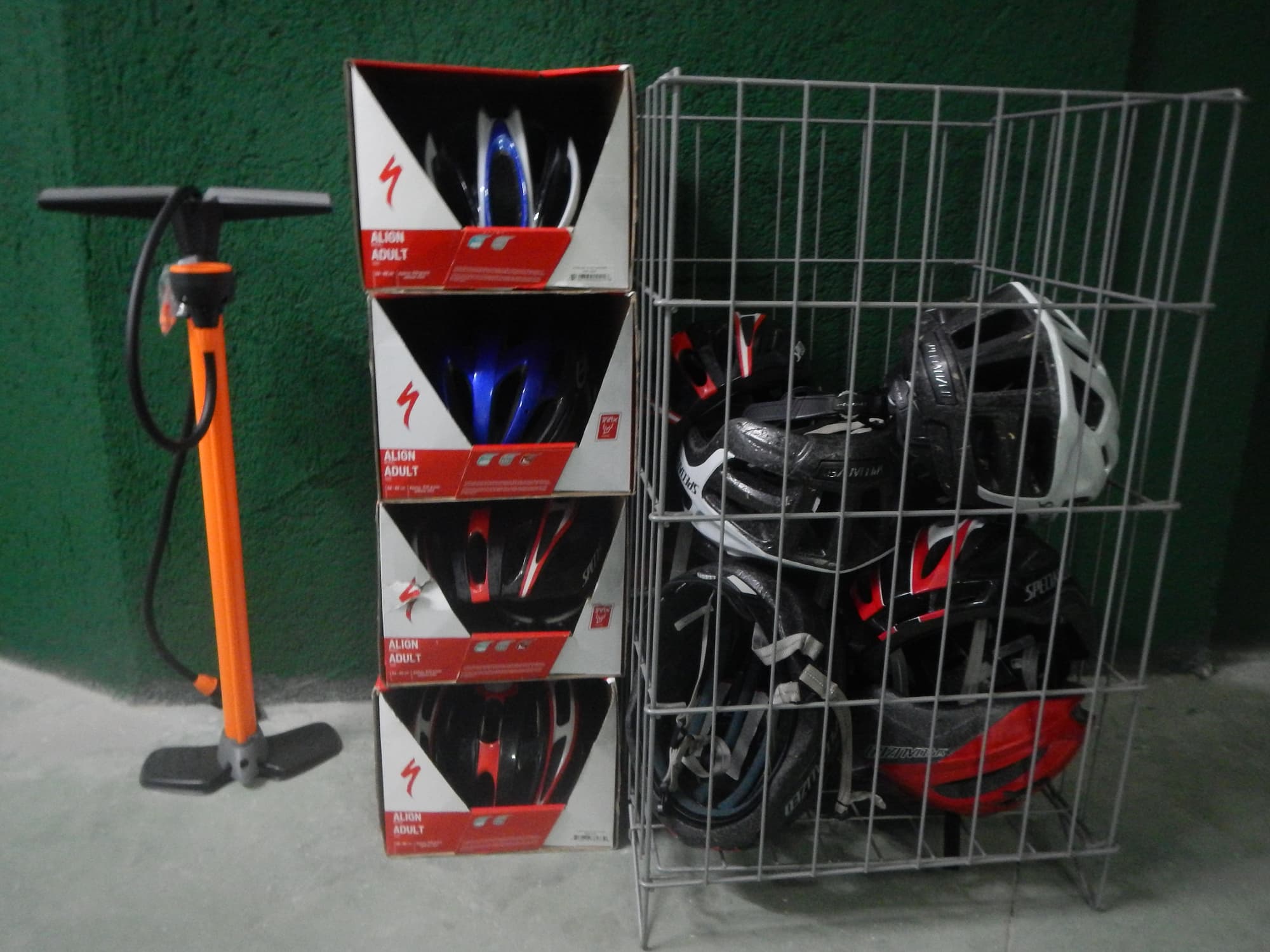 Fenals Garden, Sports and Entertainment