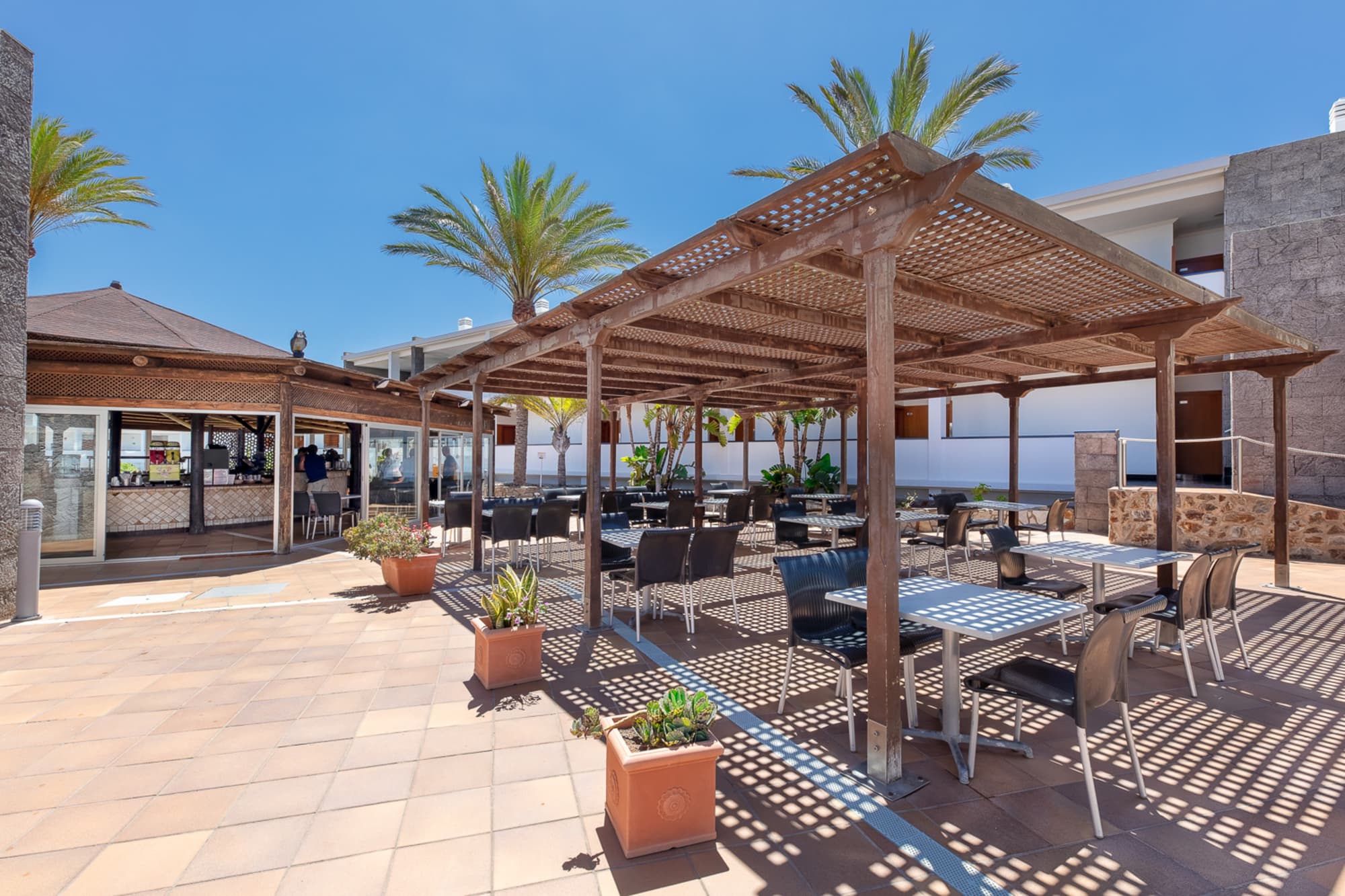 Hotel LIVVO Mirador Papagayo, Bar