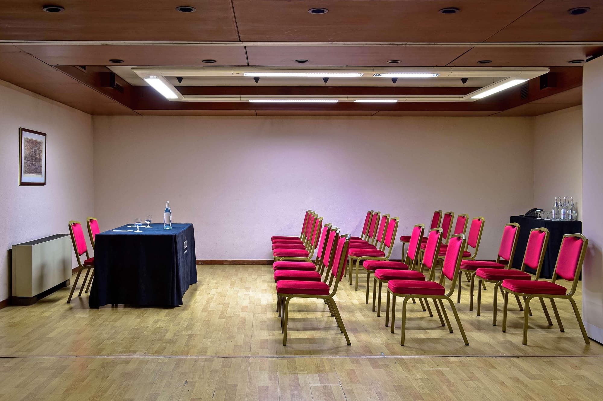 Tivoli Coimbra Hotel, Conferences