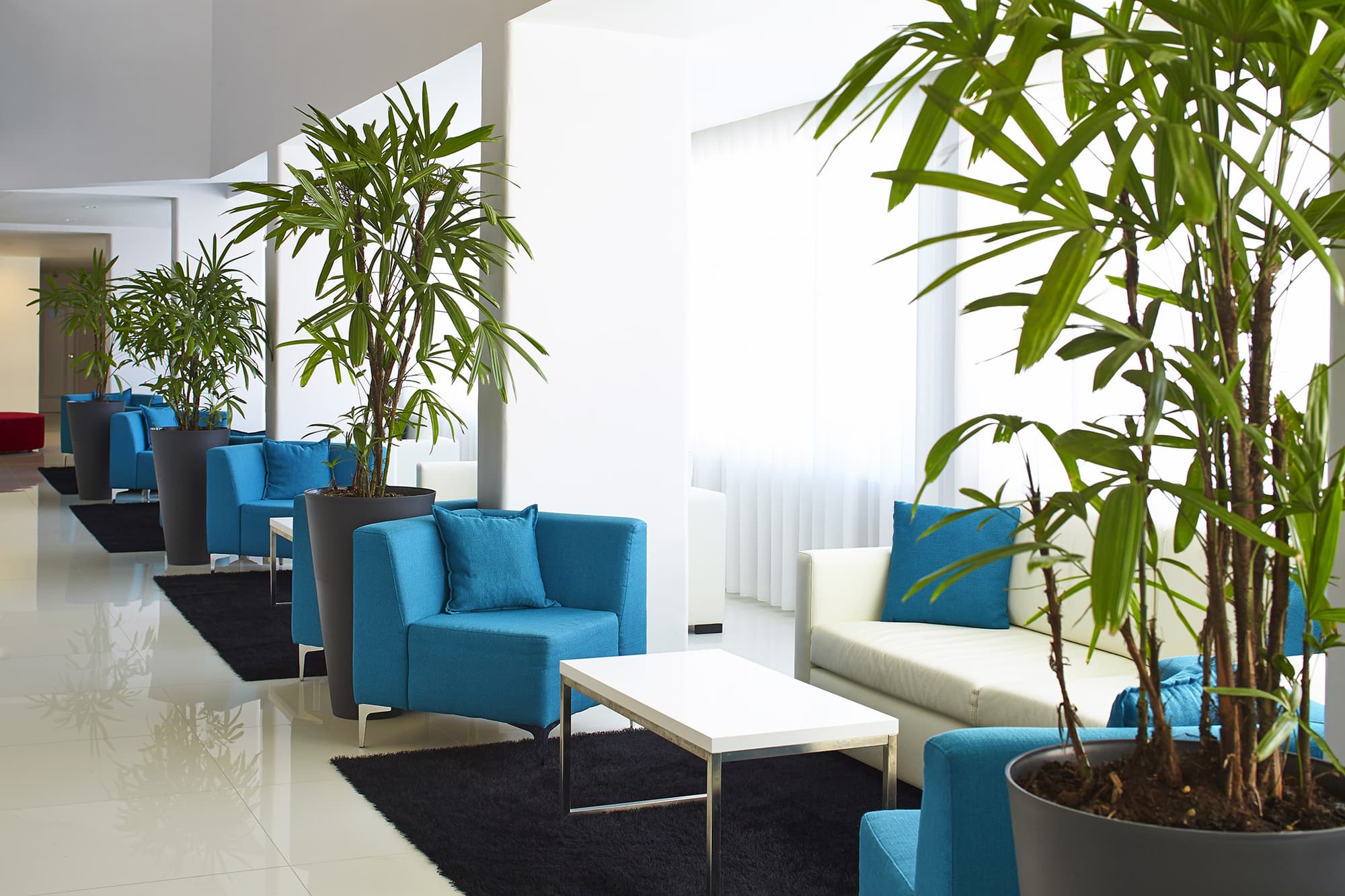 Luna Miramar Club, Lobby