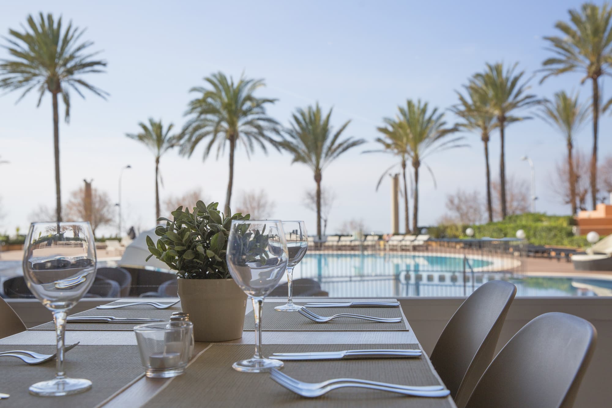 HM Tropical, General view