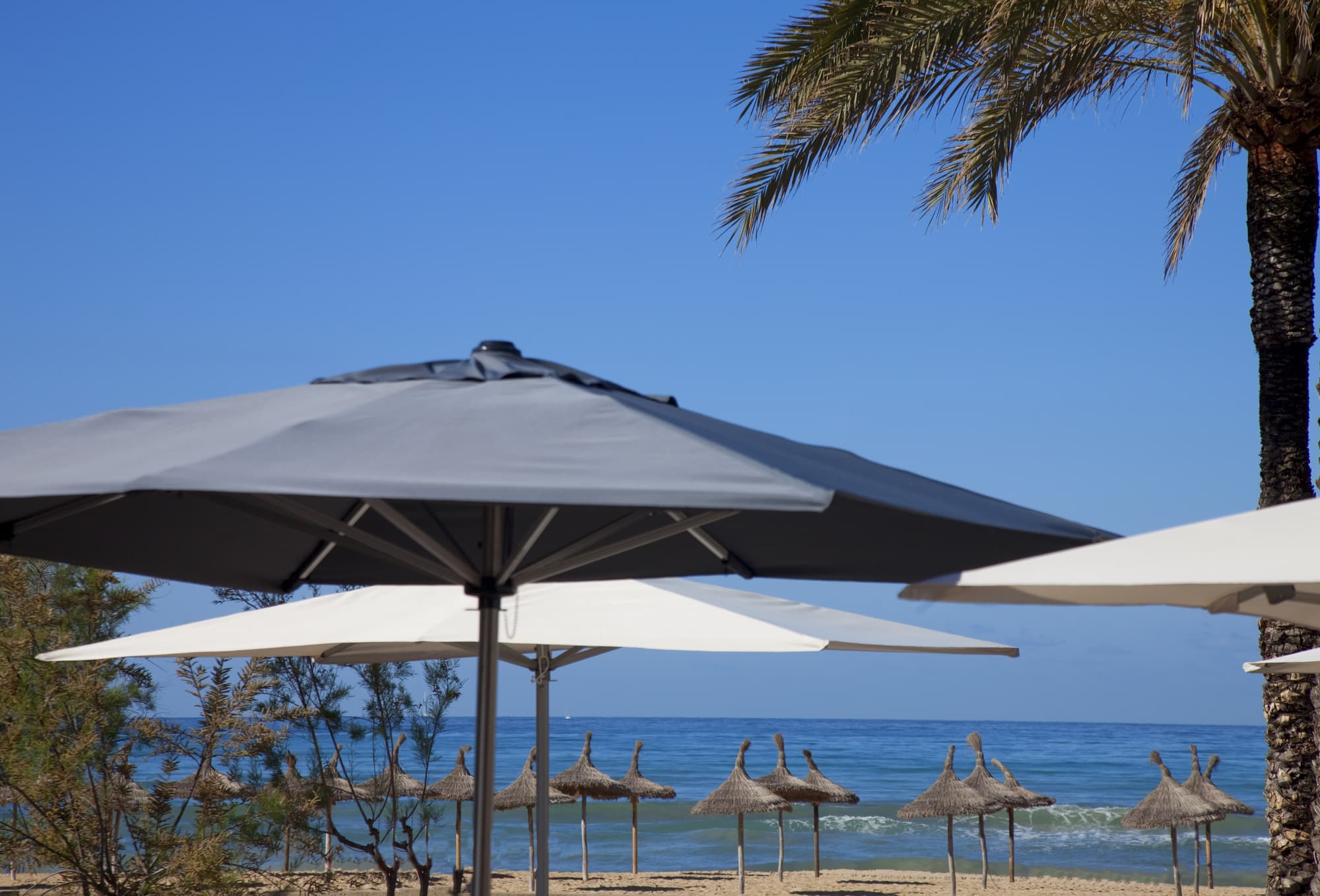 HM Tropical, General view