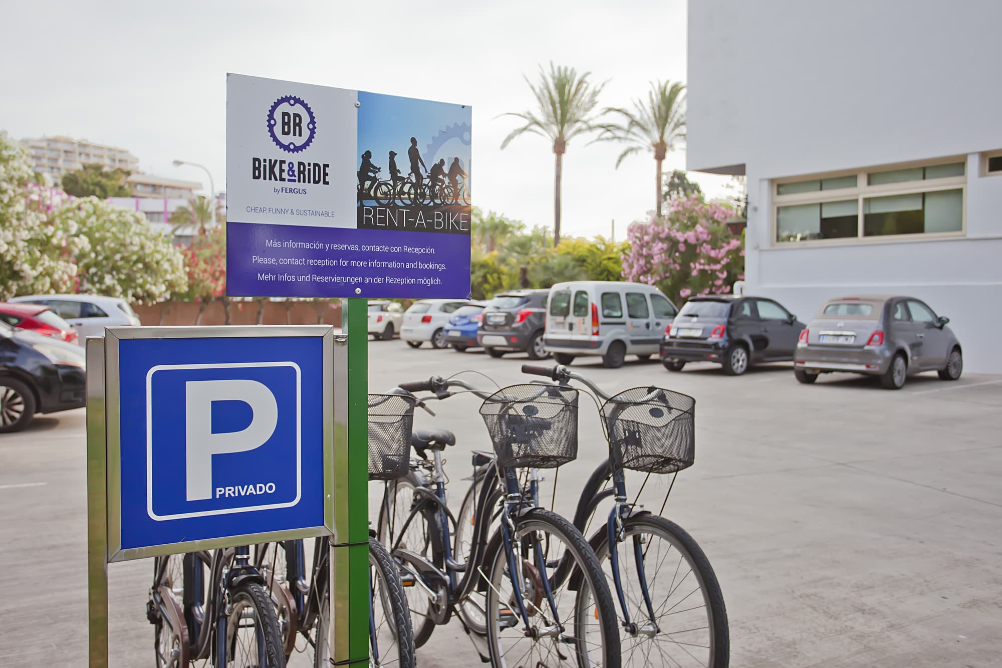 FERGUS Bermudas, Sports and Entertainment