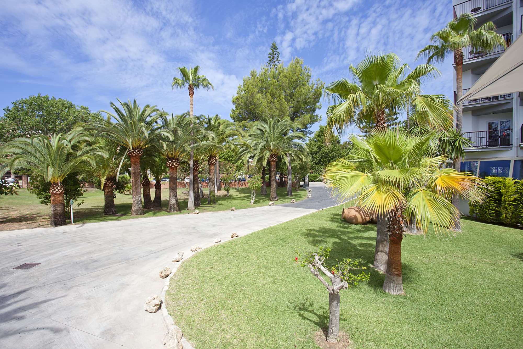 FERGUS Bermudas, Terrace