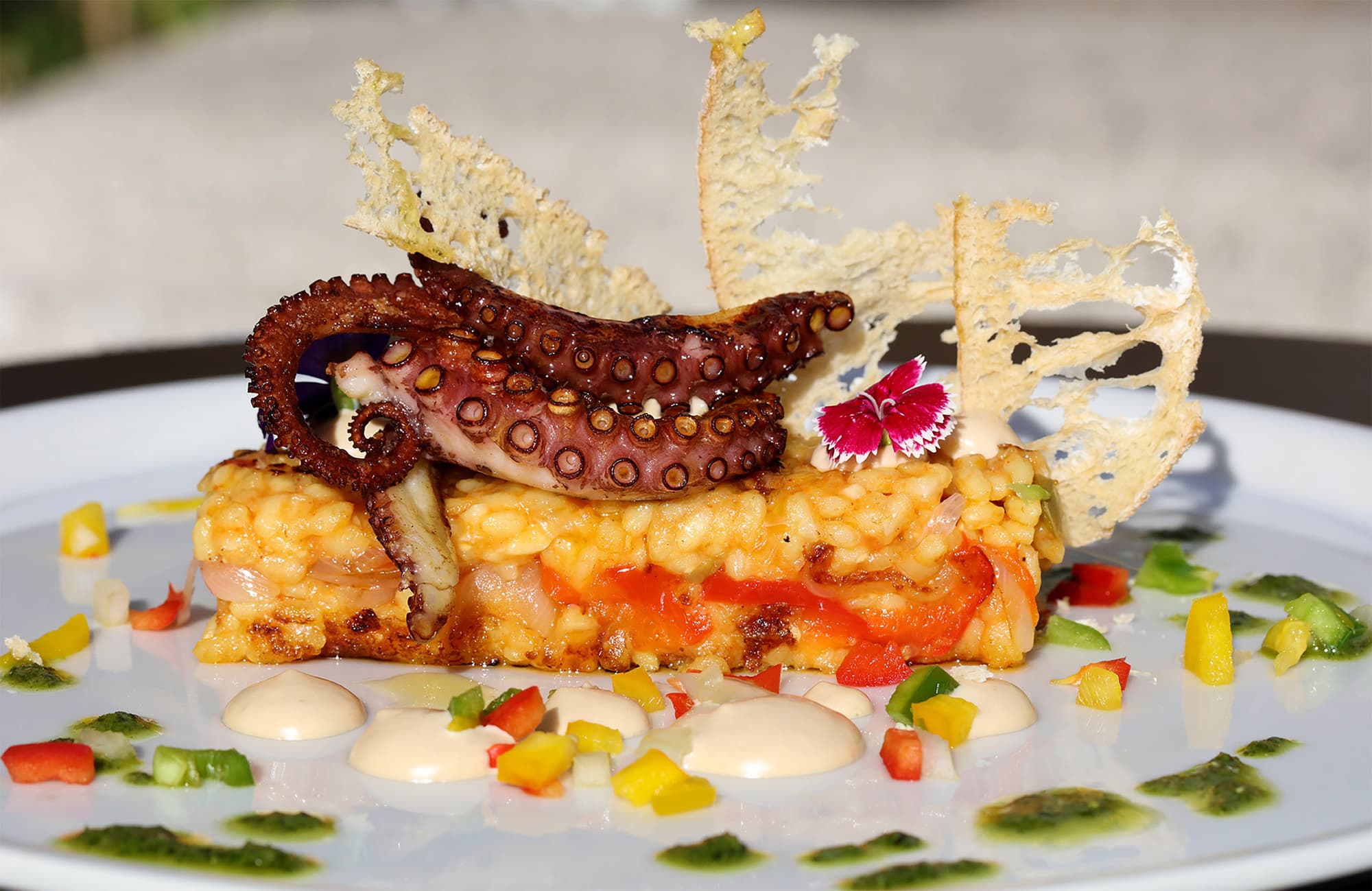 Abba Fonseca, Restaurant