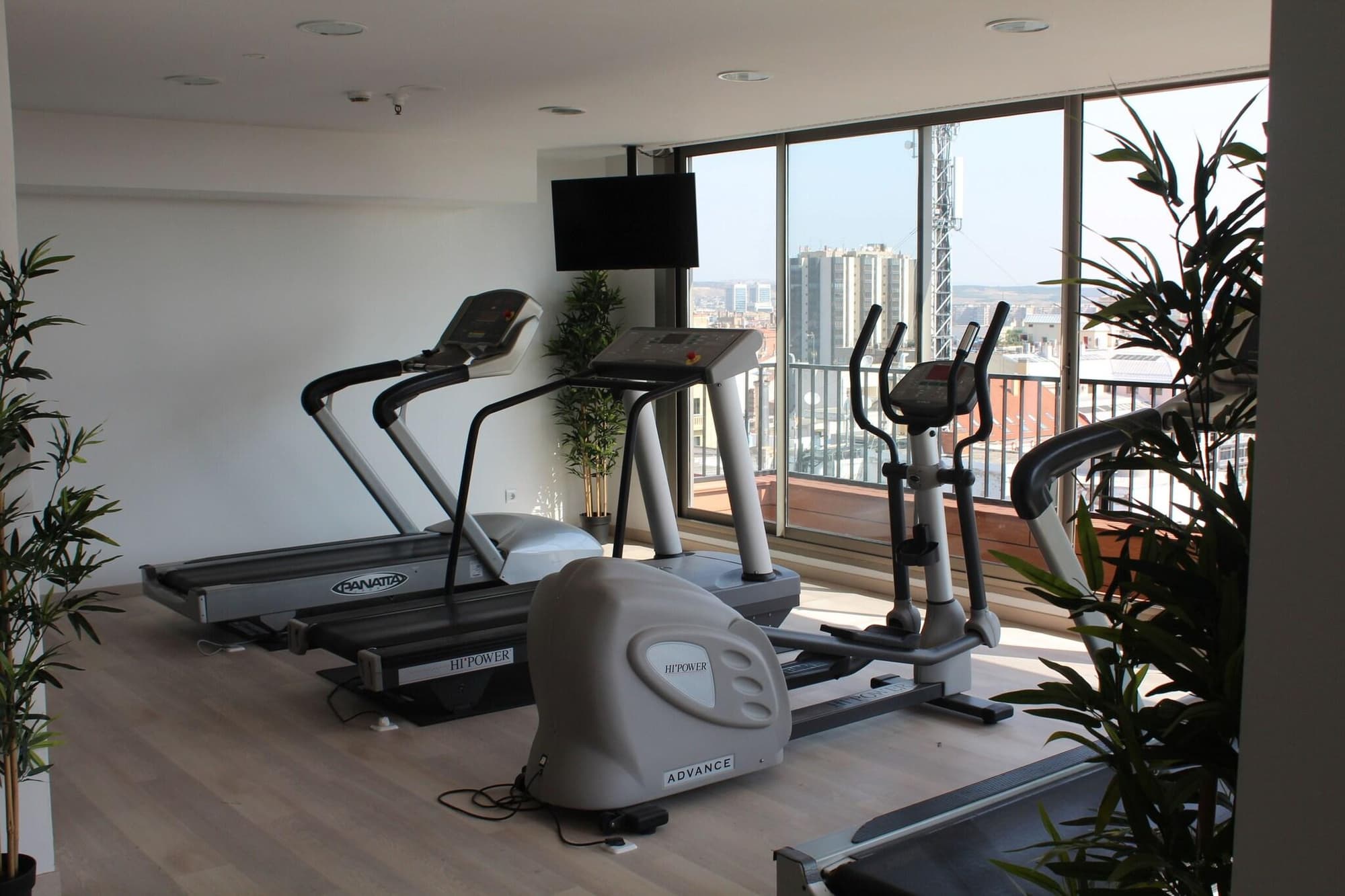 Zenit Don Yo, Sports and Entertainment