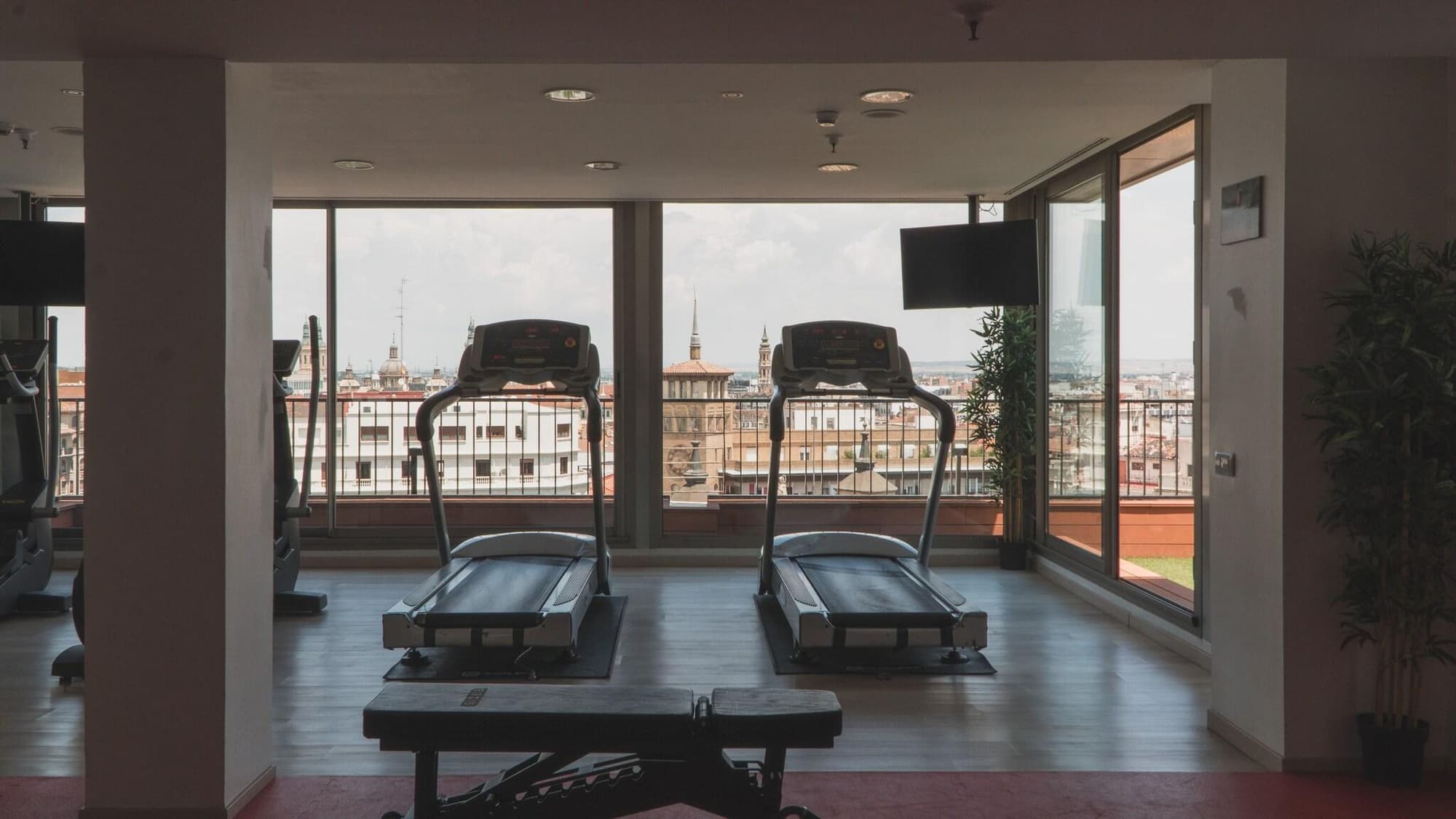 Zenit Don Yo, Sports and Entertainment