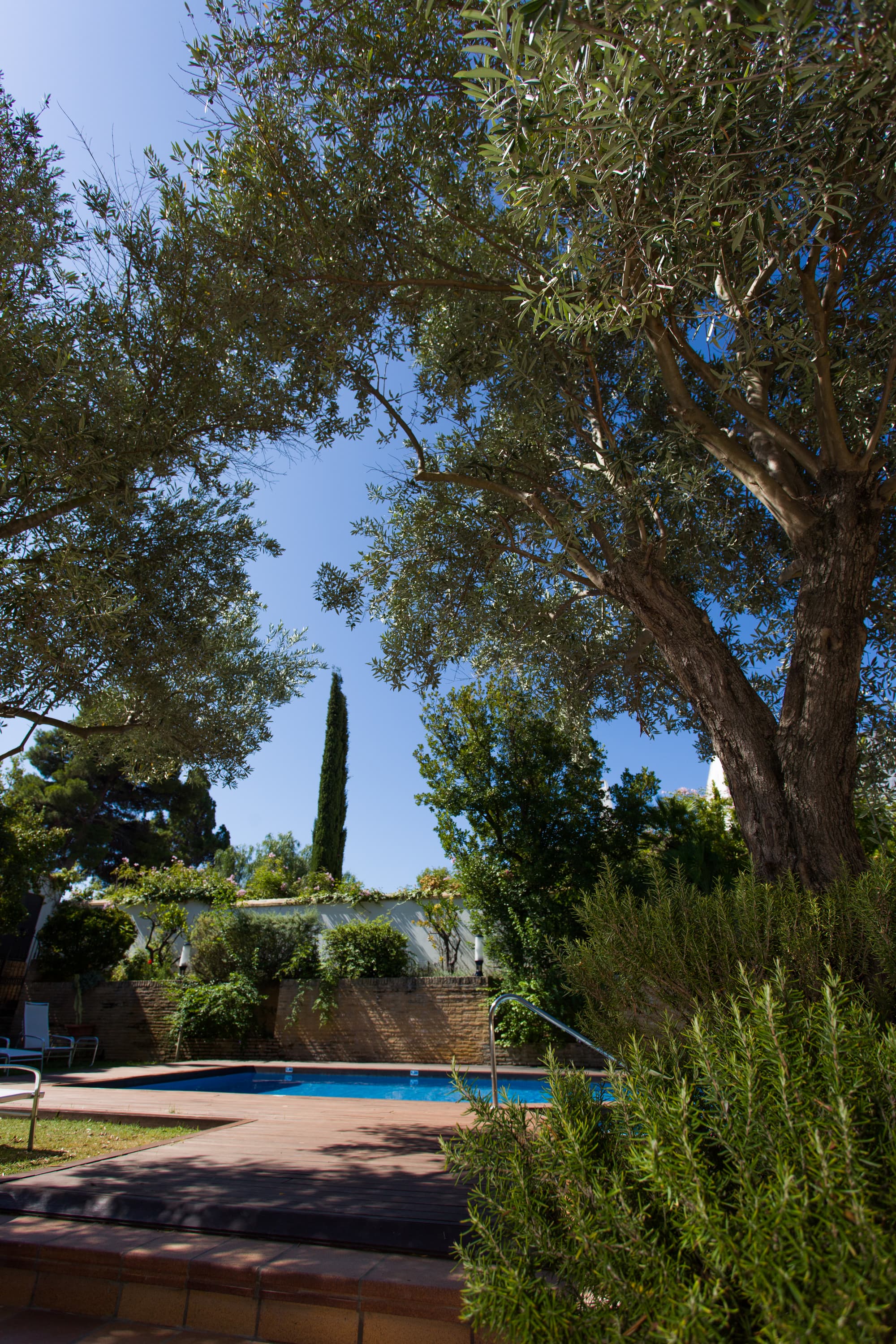 Soho Boutique Vistahermosa, Pool