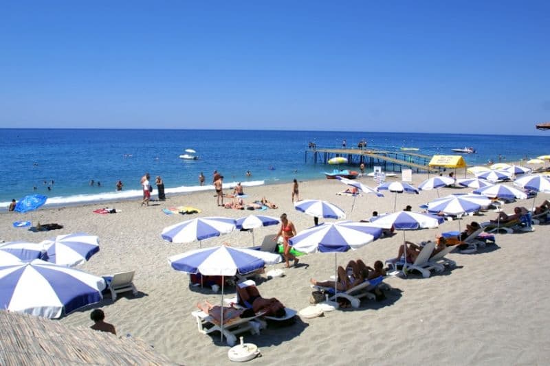 Blue Fish, General view