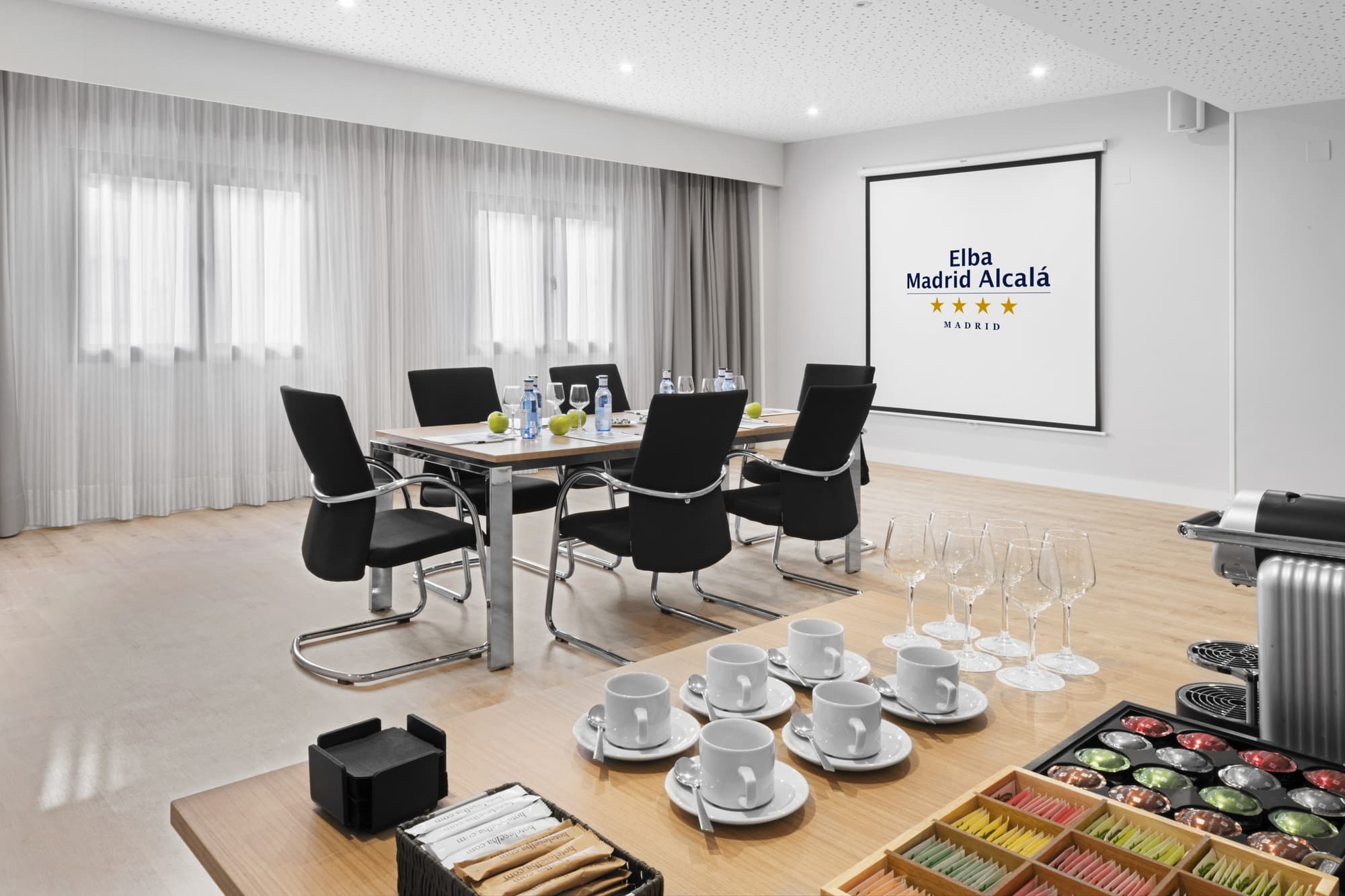 Elba Madrid Alcalá, Conferences