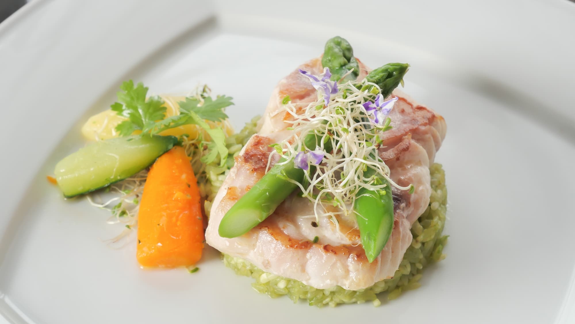 Barcelo Santo Domingo, General view