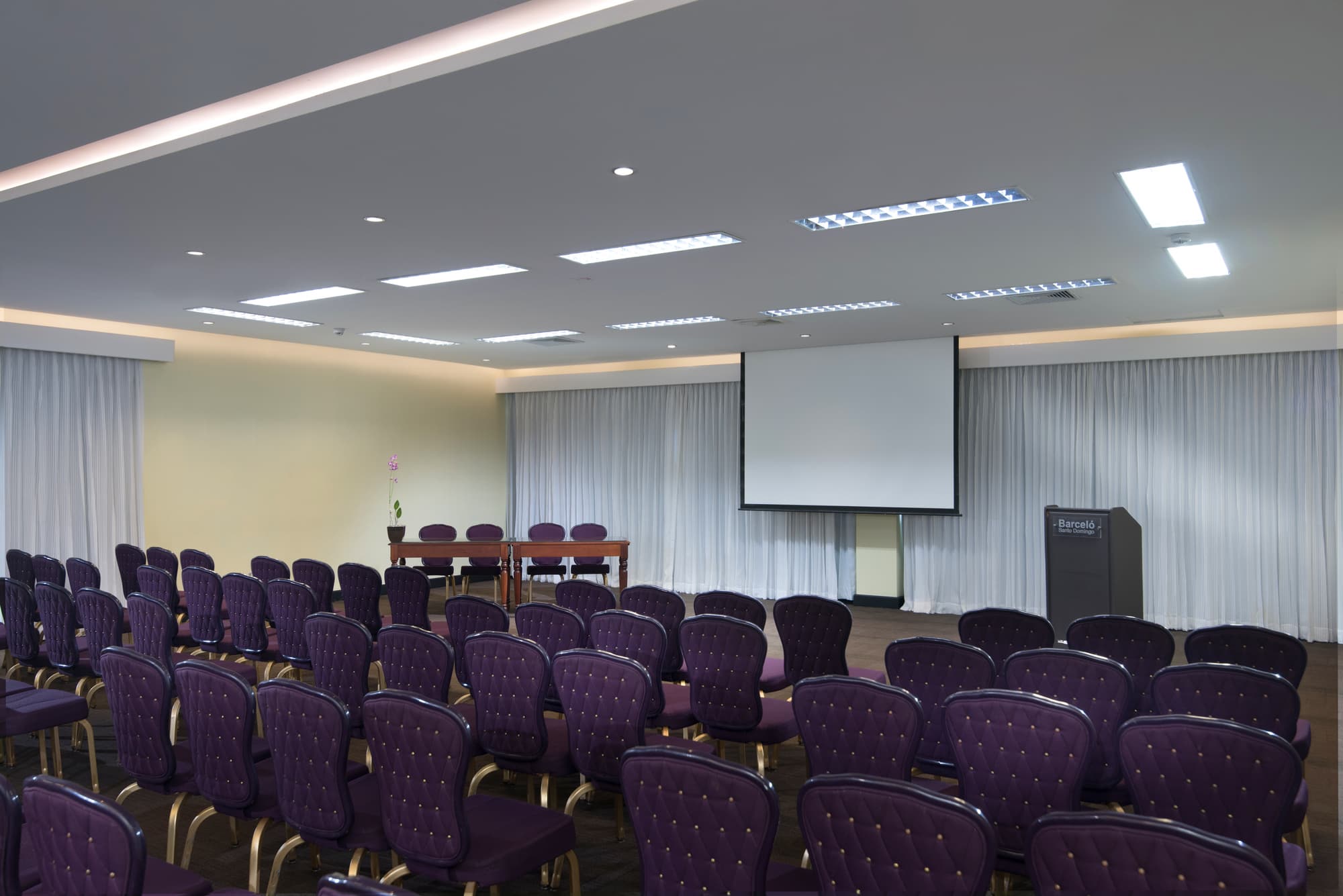 Barcelo Santo Domingo, Conferences