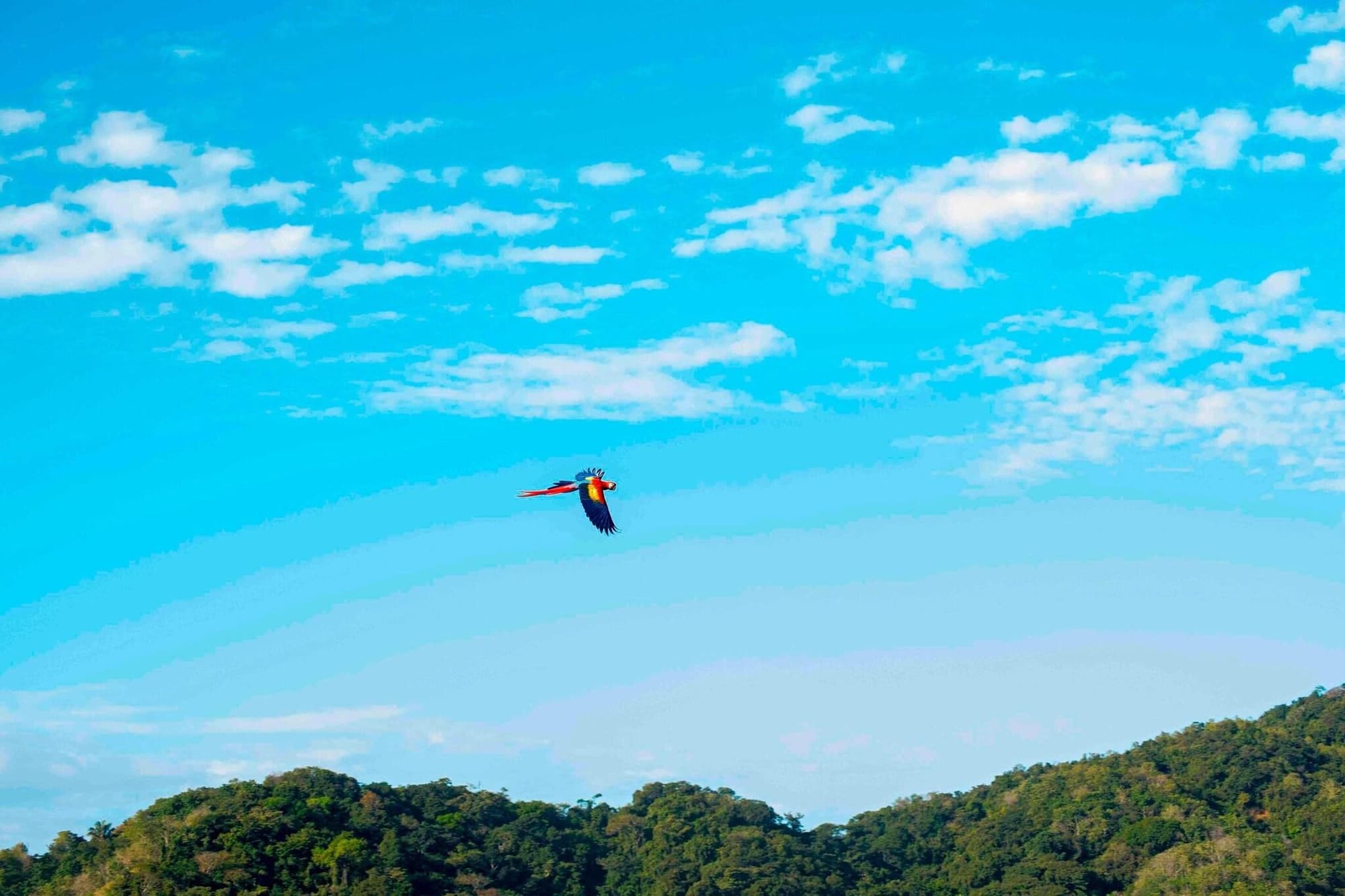 Punta Islita, Autograph Collection, General view