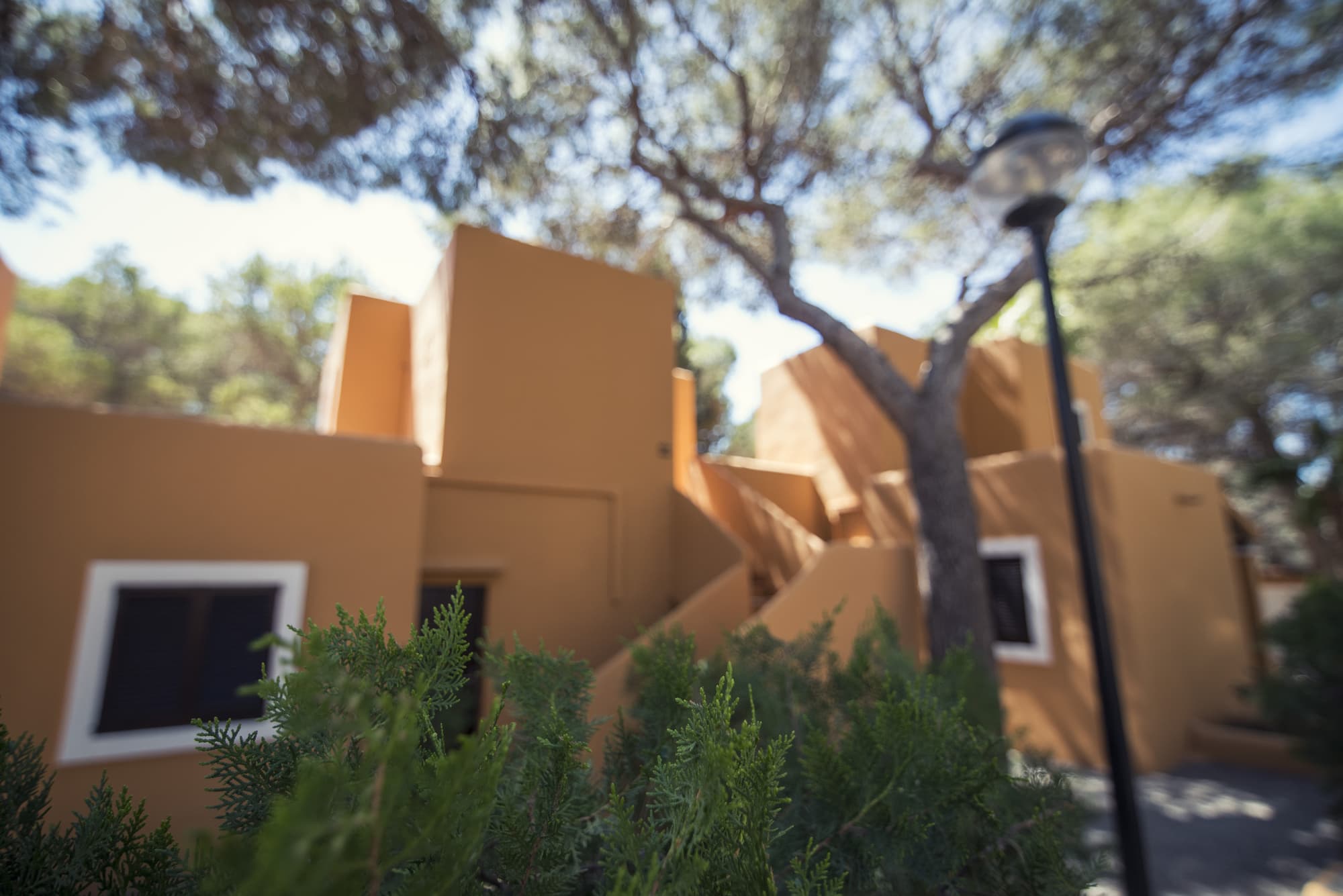 FERGUS Style Punta Arabi, General view