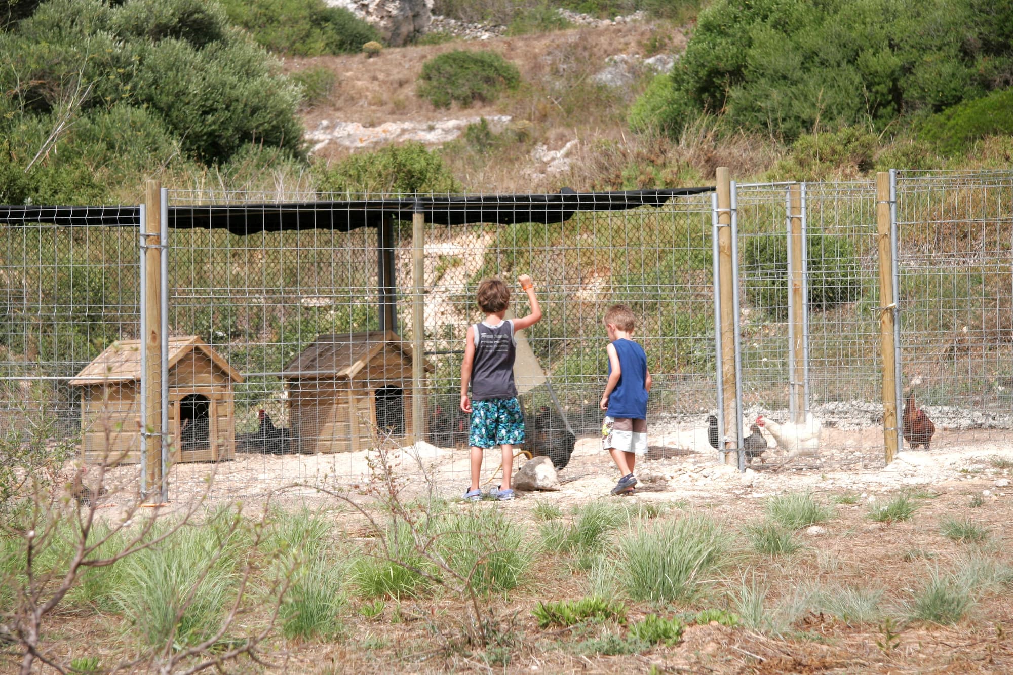 Royal Son Bou Family Club, Sports and Entertainment