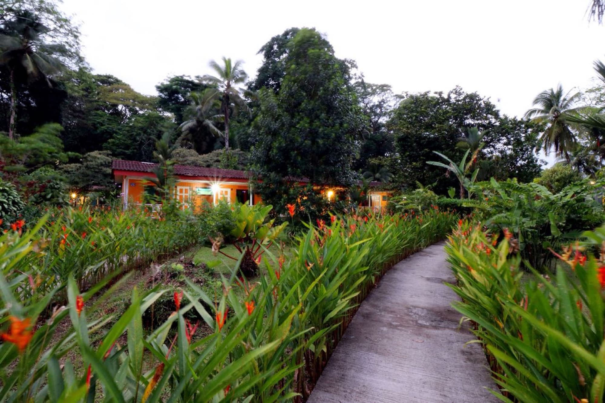 La Baula Lodge, Lobby