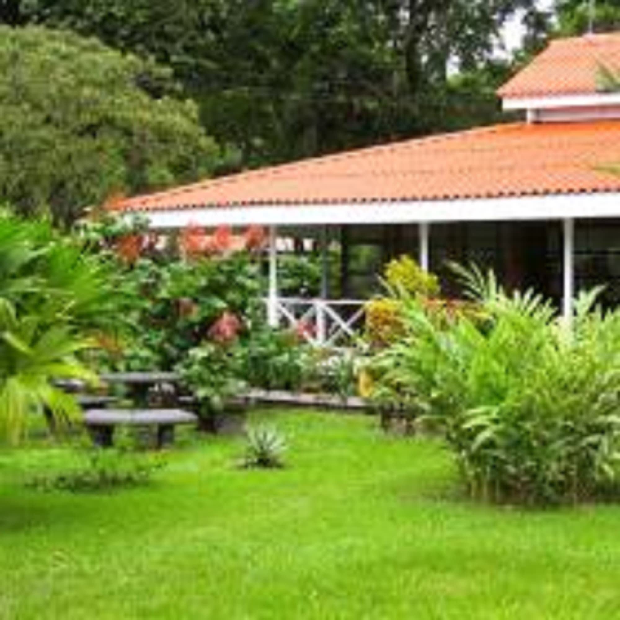 La Baula Lodge, Room