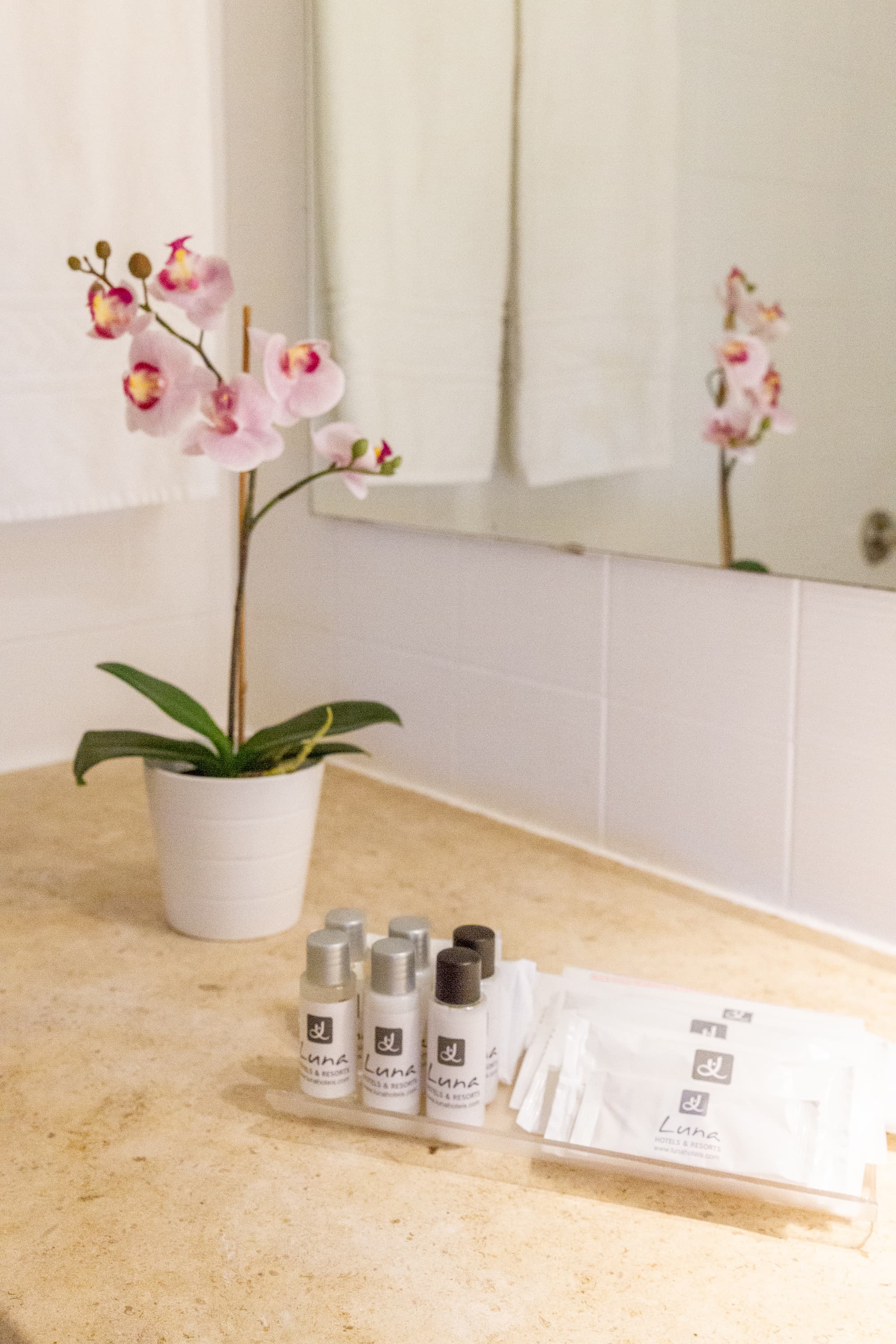 The Navigator - Olympus, Room