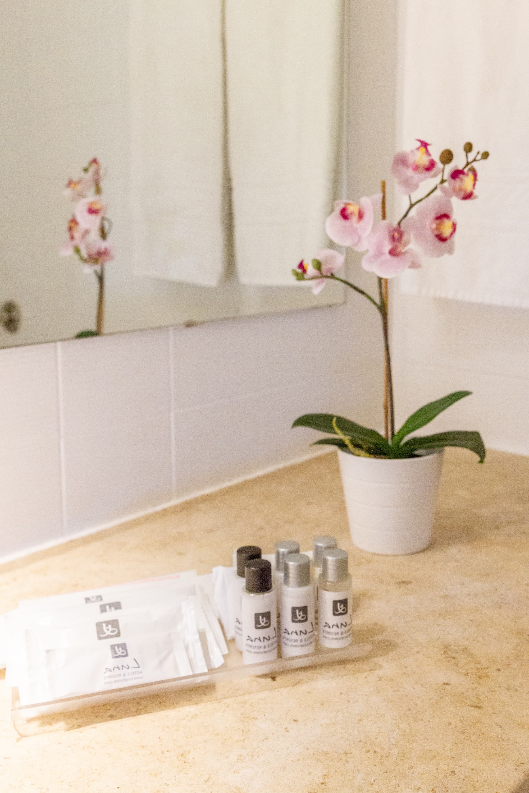 The Navigator - Olympus, Room