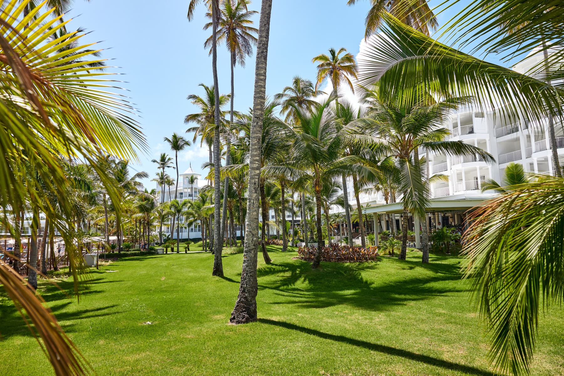 Riu Palace Macao - Adults Only - All Inclusive, General view