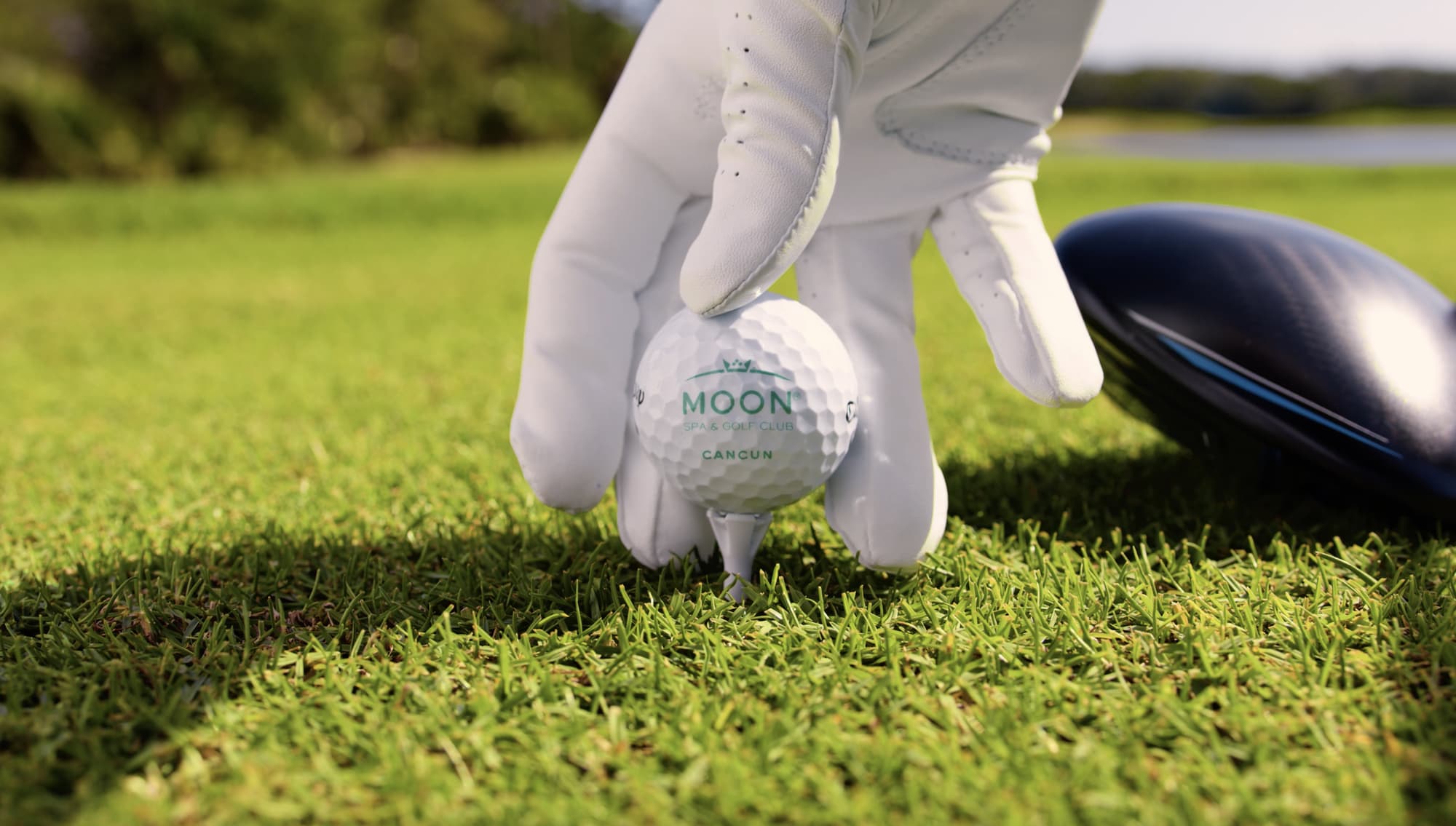 Moon Palace Cancún All Inclusive, General view