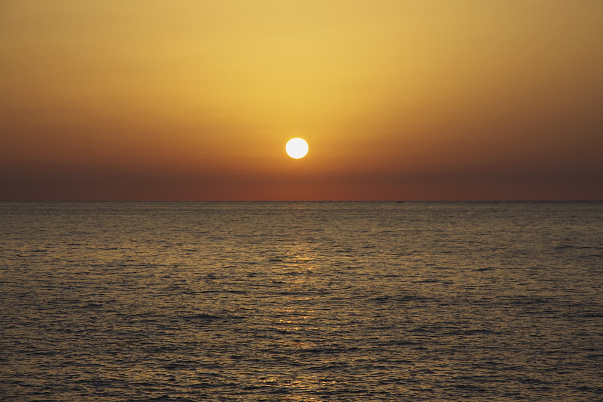 APARTAMENTOS CLUB SA COMA, Beach