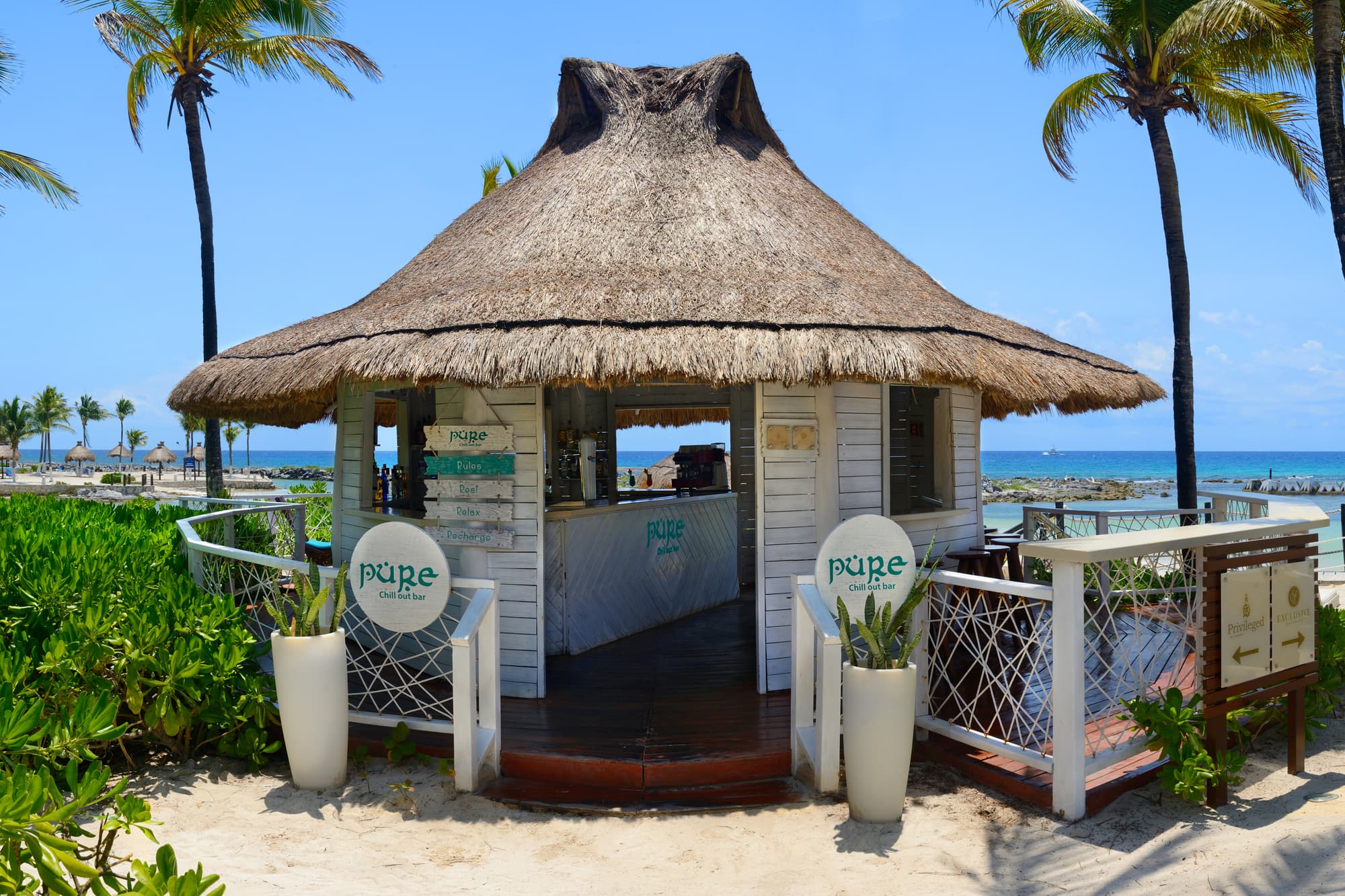 Catalonia Riviera Maya All Inclusive, Bar