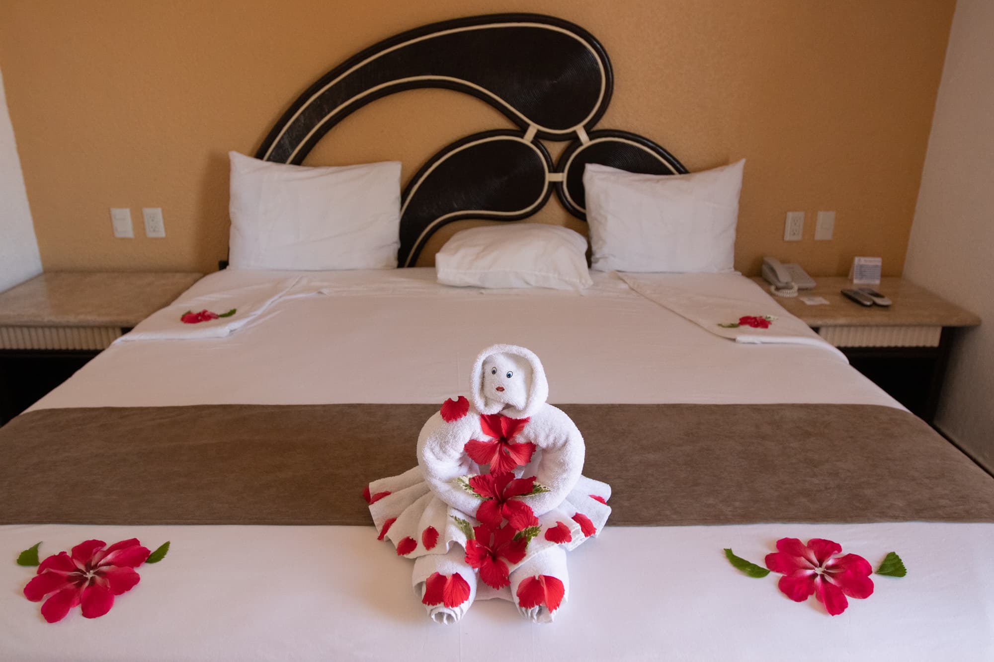 Qualton Club Ixtapa All Inclusive, Room