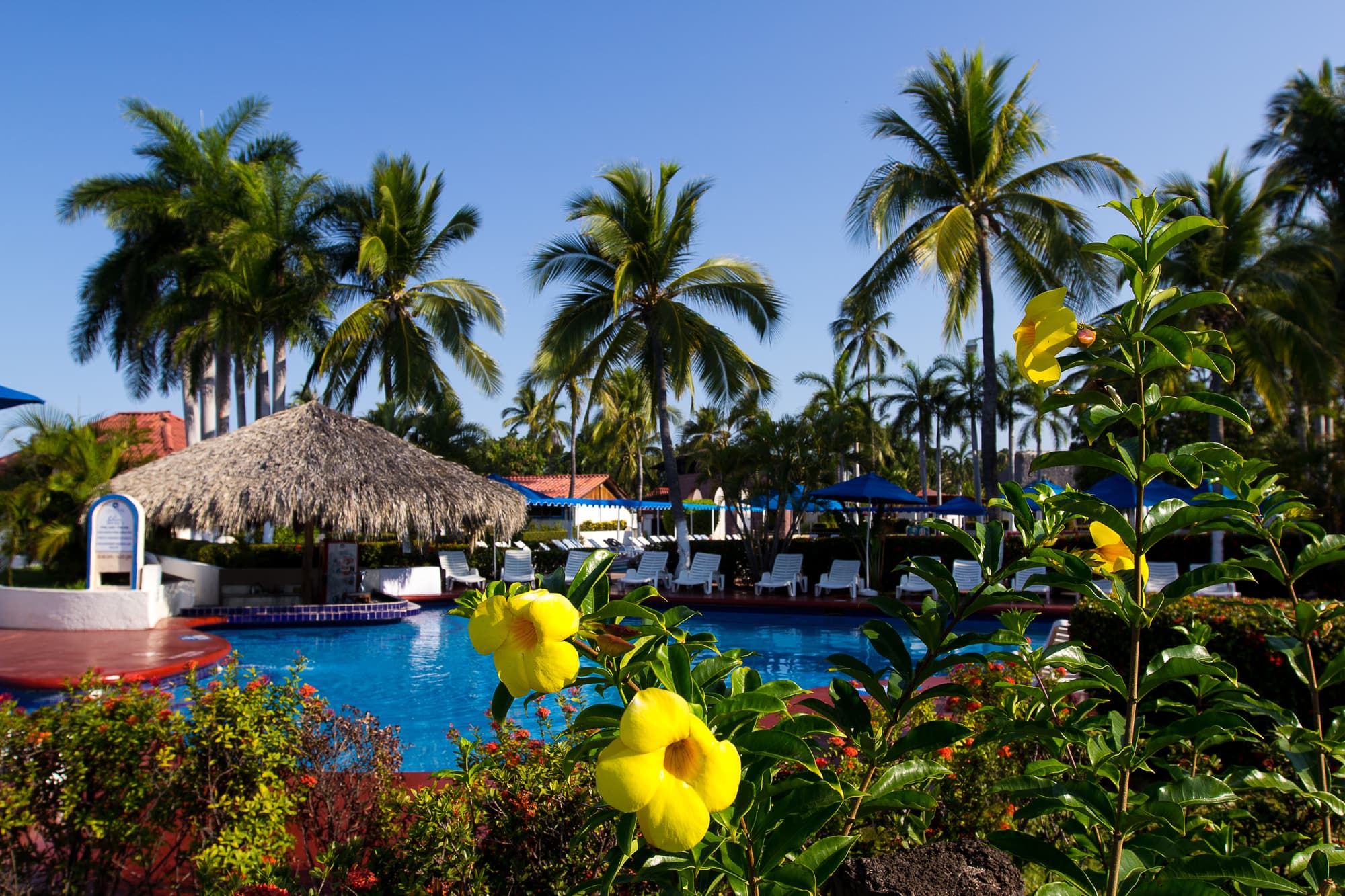 Qualton Club Ixtapa All Inclusive, Terrace