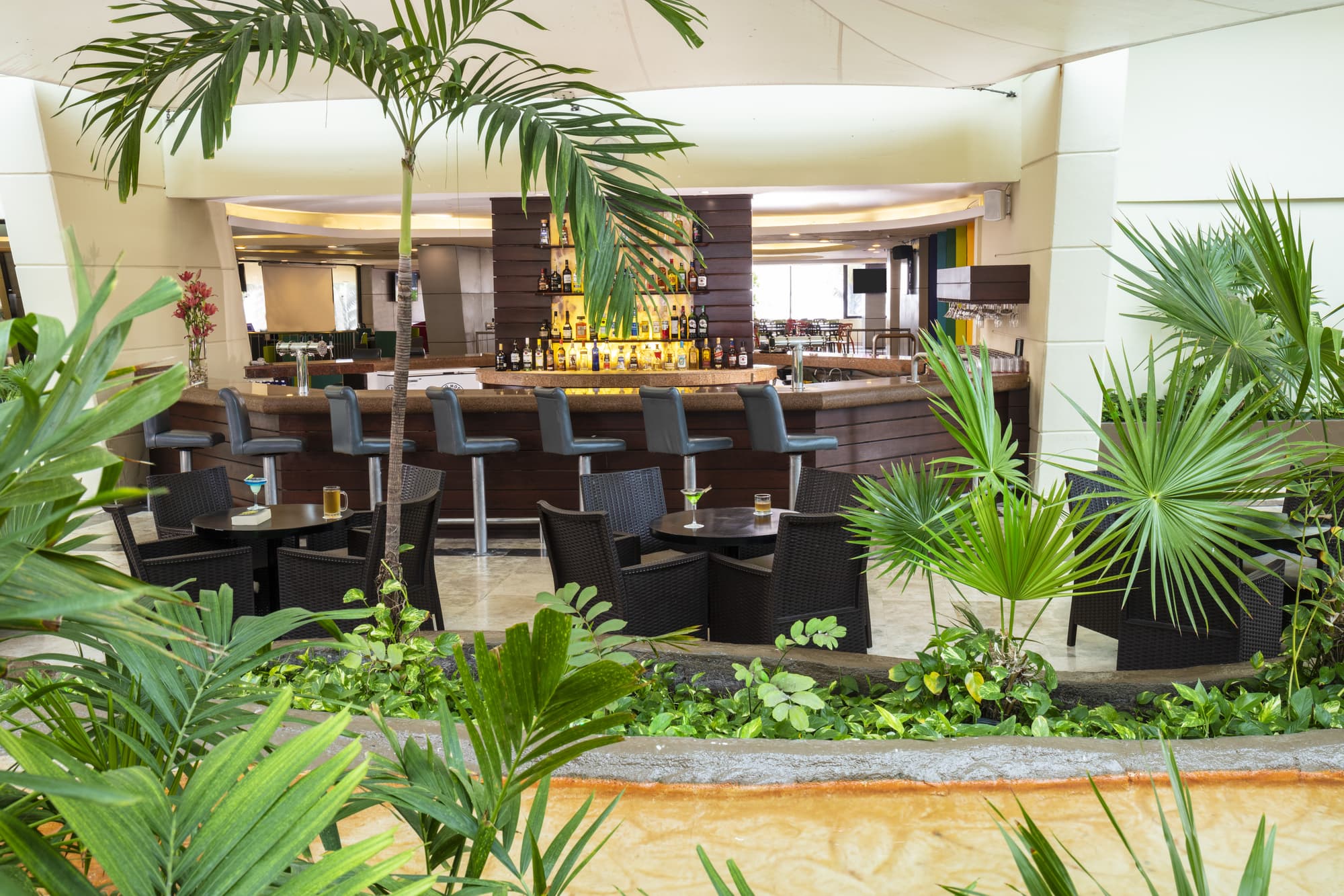 Crown Paradise Club Cancun All Inclusive, Bar