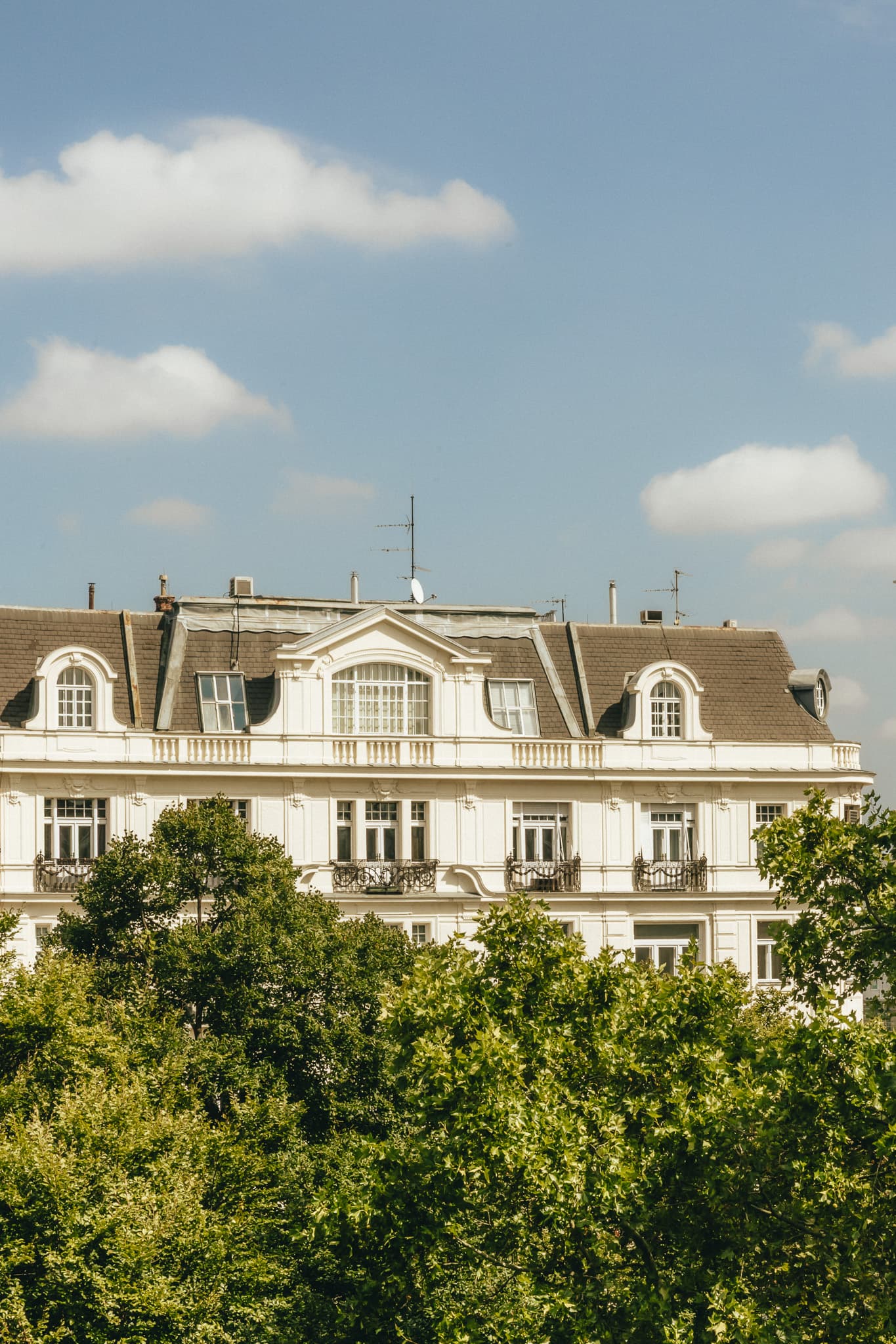 Miiro Palais Rudolf, Room