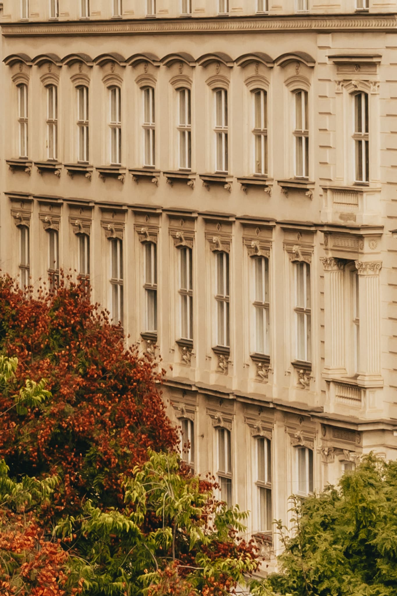 Miiro Palais Rudolf, Room