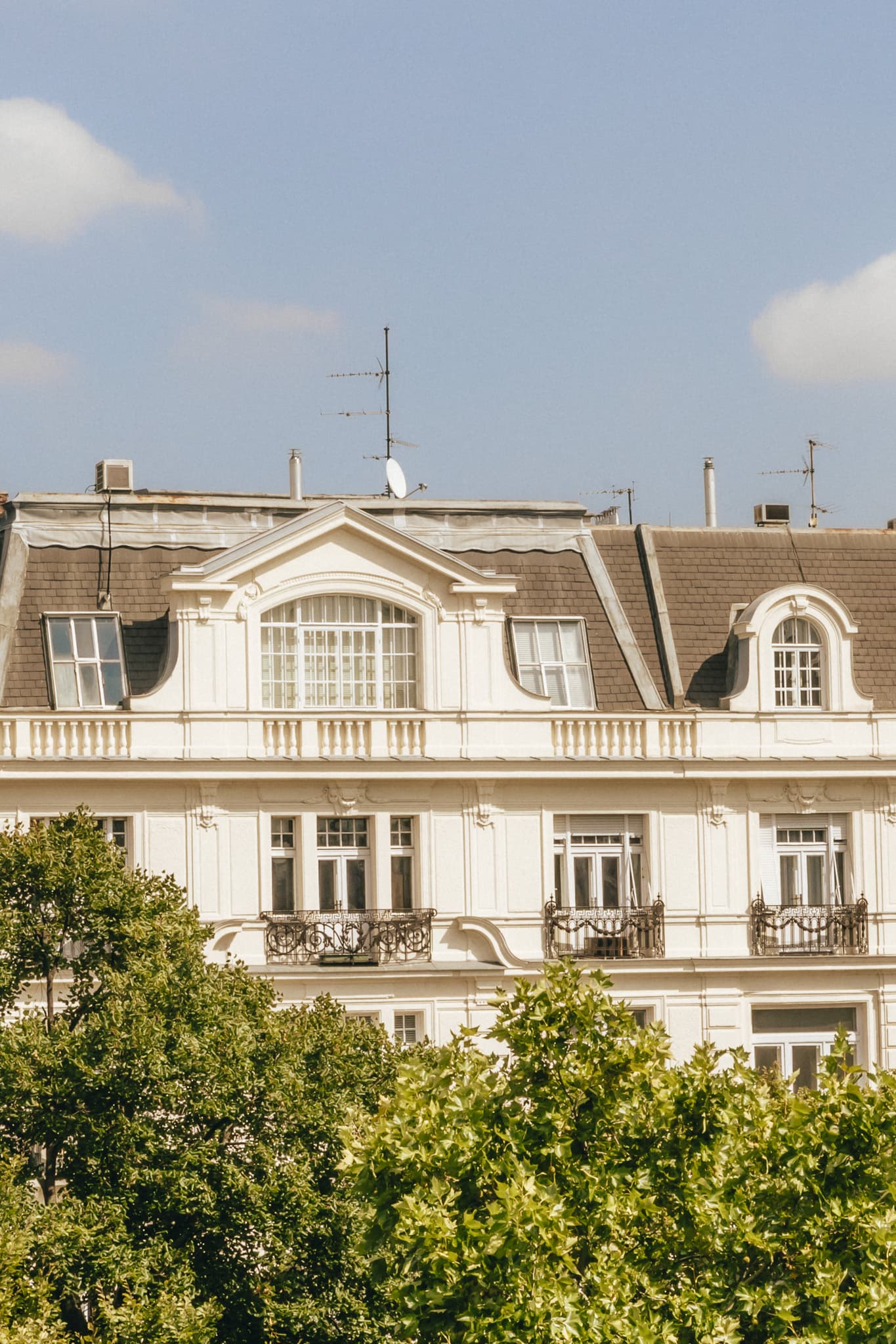 Miiro Palais Rudolf, Room