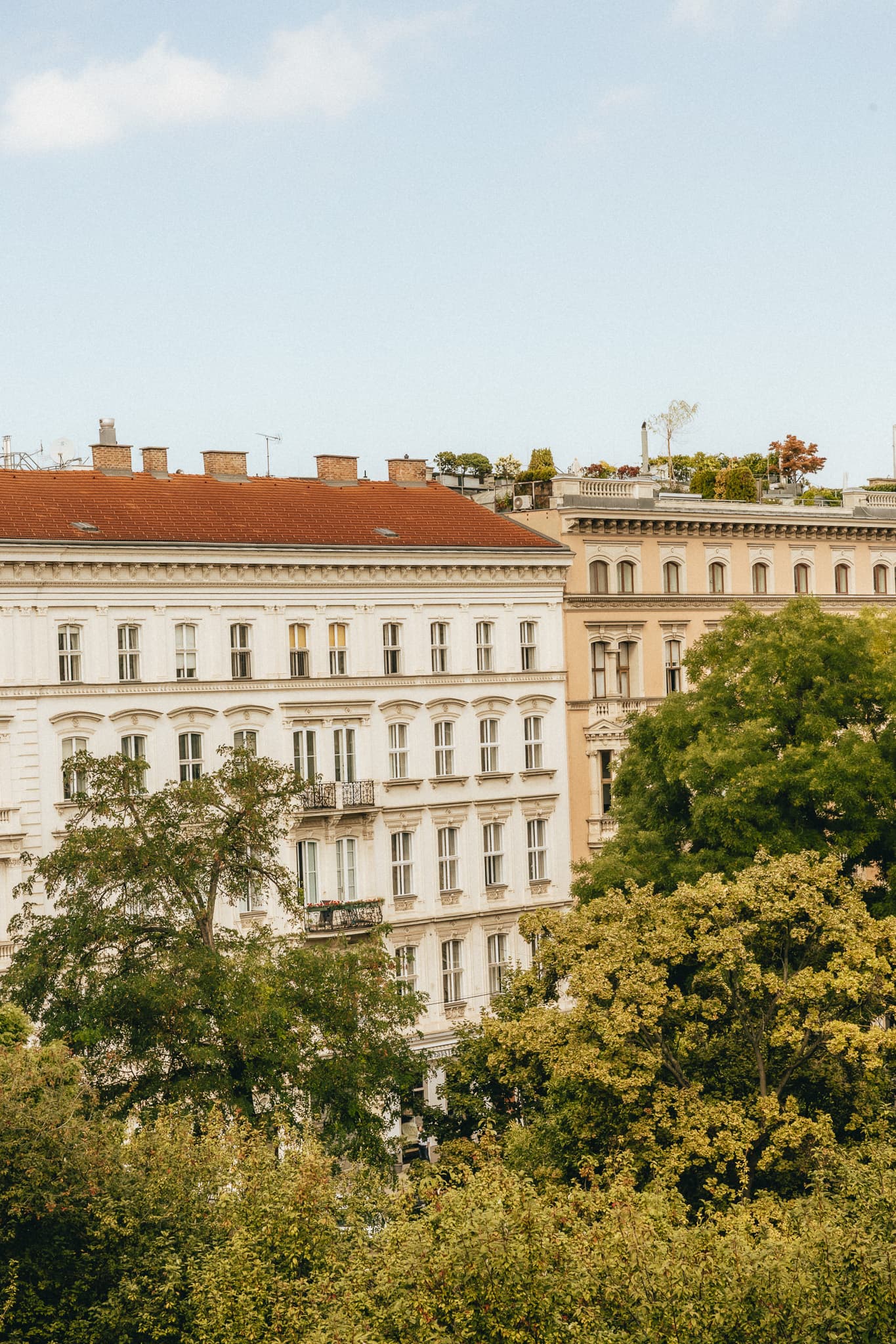 Miiro Palais Rudolf, Room
