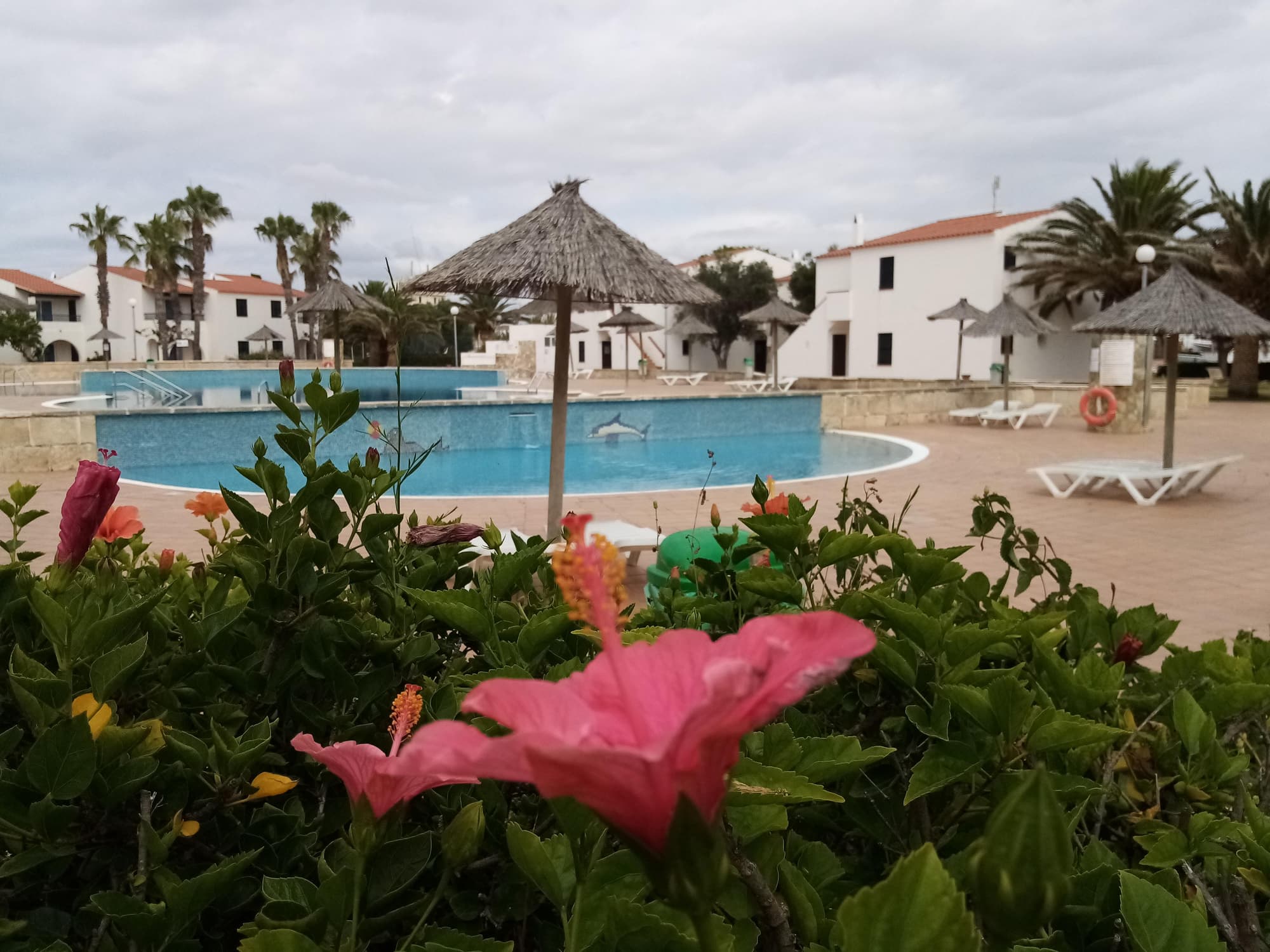 Vista Picas, General view