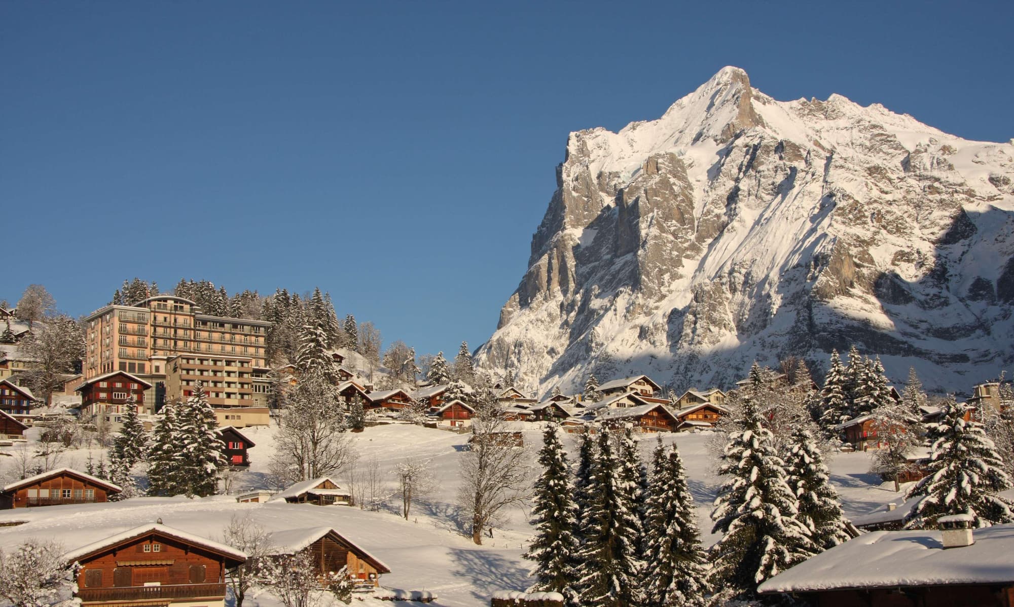 Hotel Belvedere Grindelwald, General view