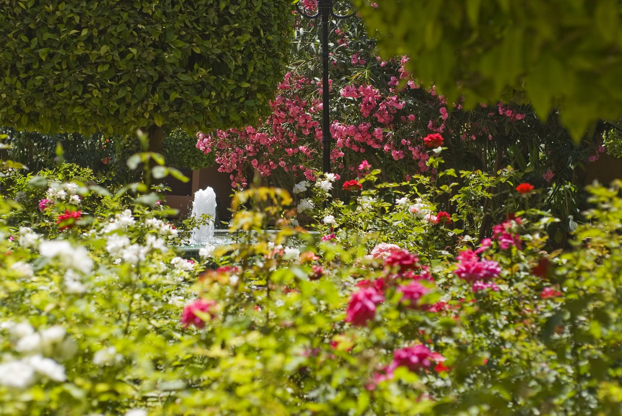 Le Semiramis Marrakech by Bravia Hotels, General view