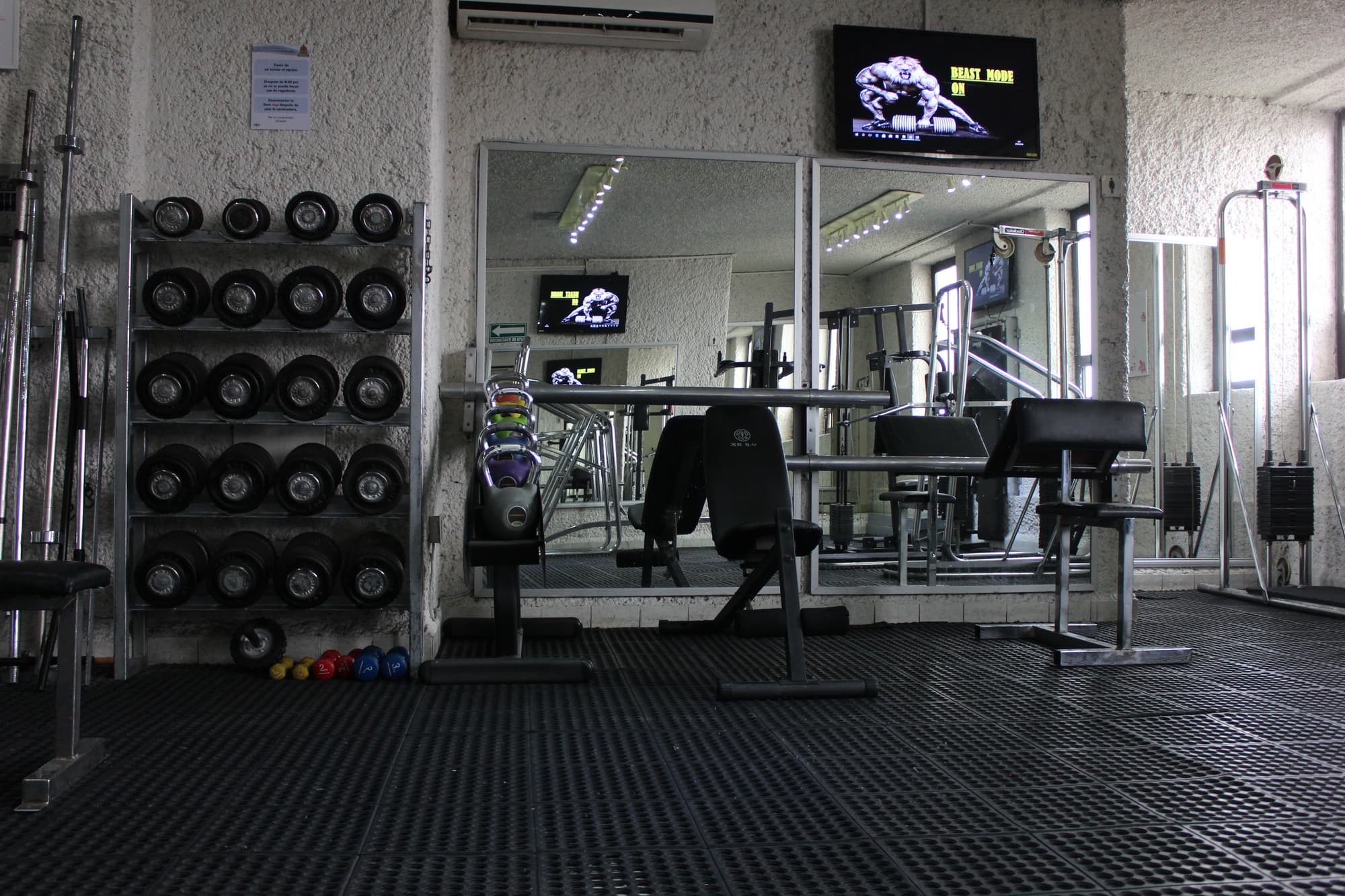 Aristos Puebla, Sports and Entertainment