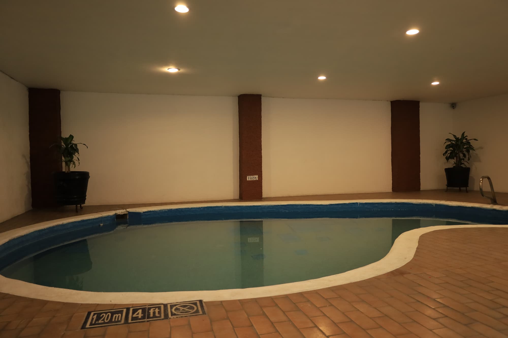 Aristos Puebla, Pool