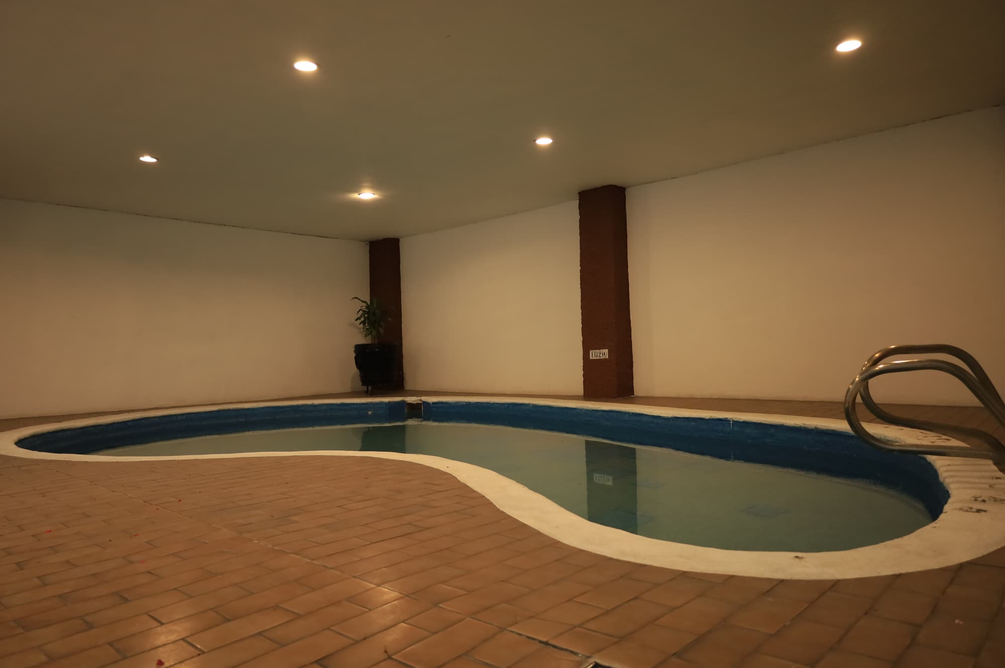 Aristos Puebla, Pool