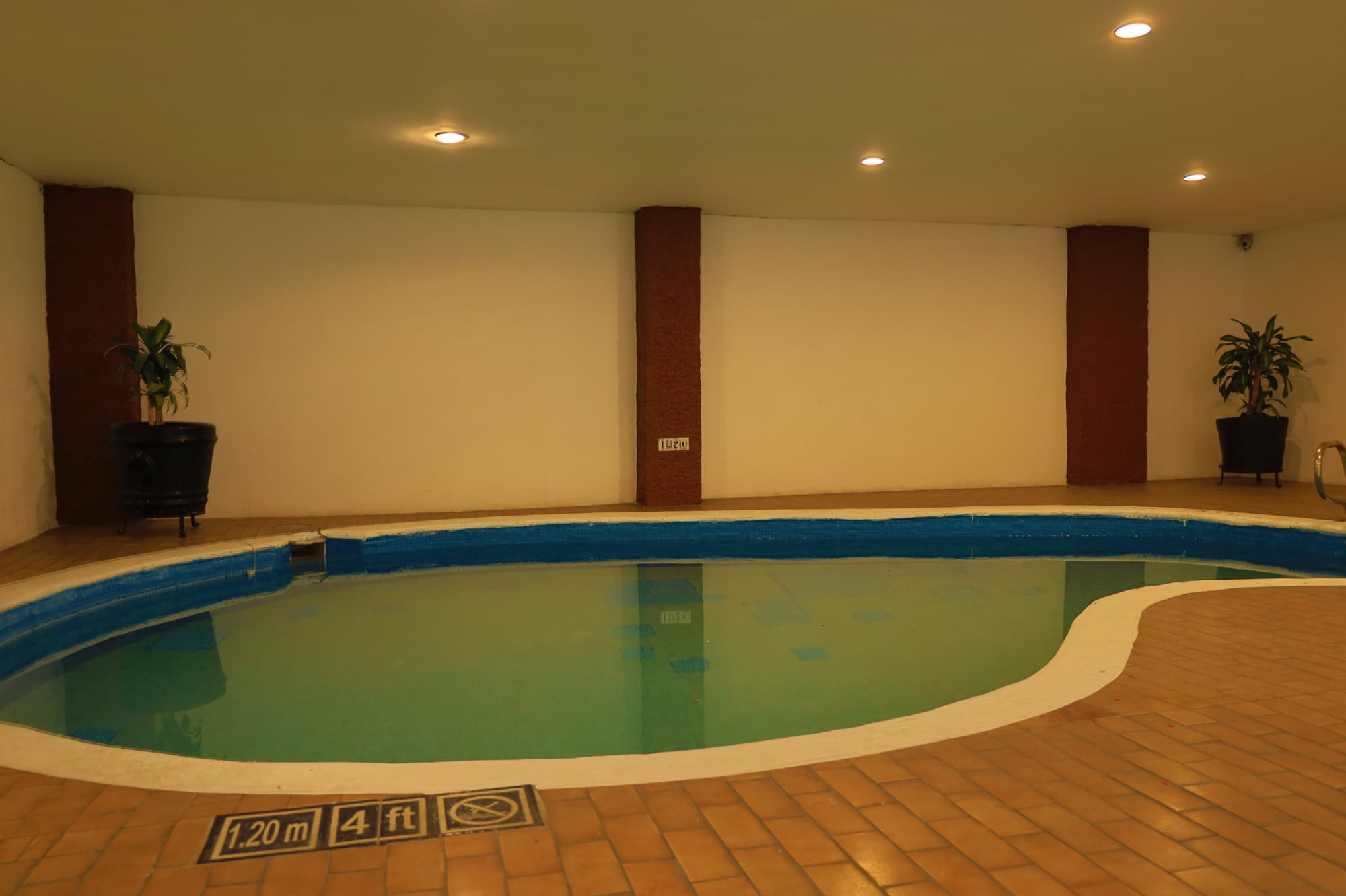 Aristos Puebla, Pool