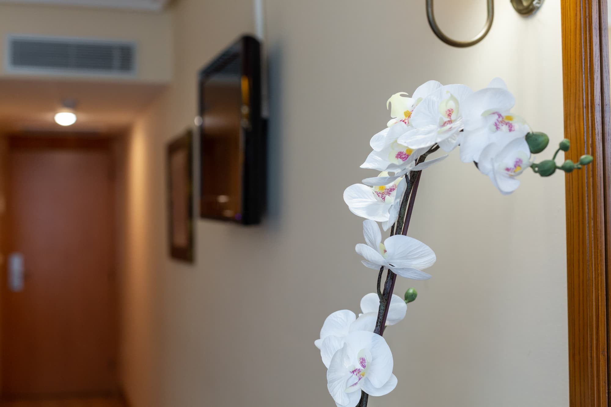 Ciudad de Cangas de Onis, General view