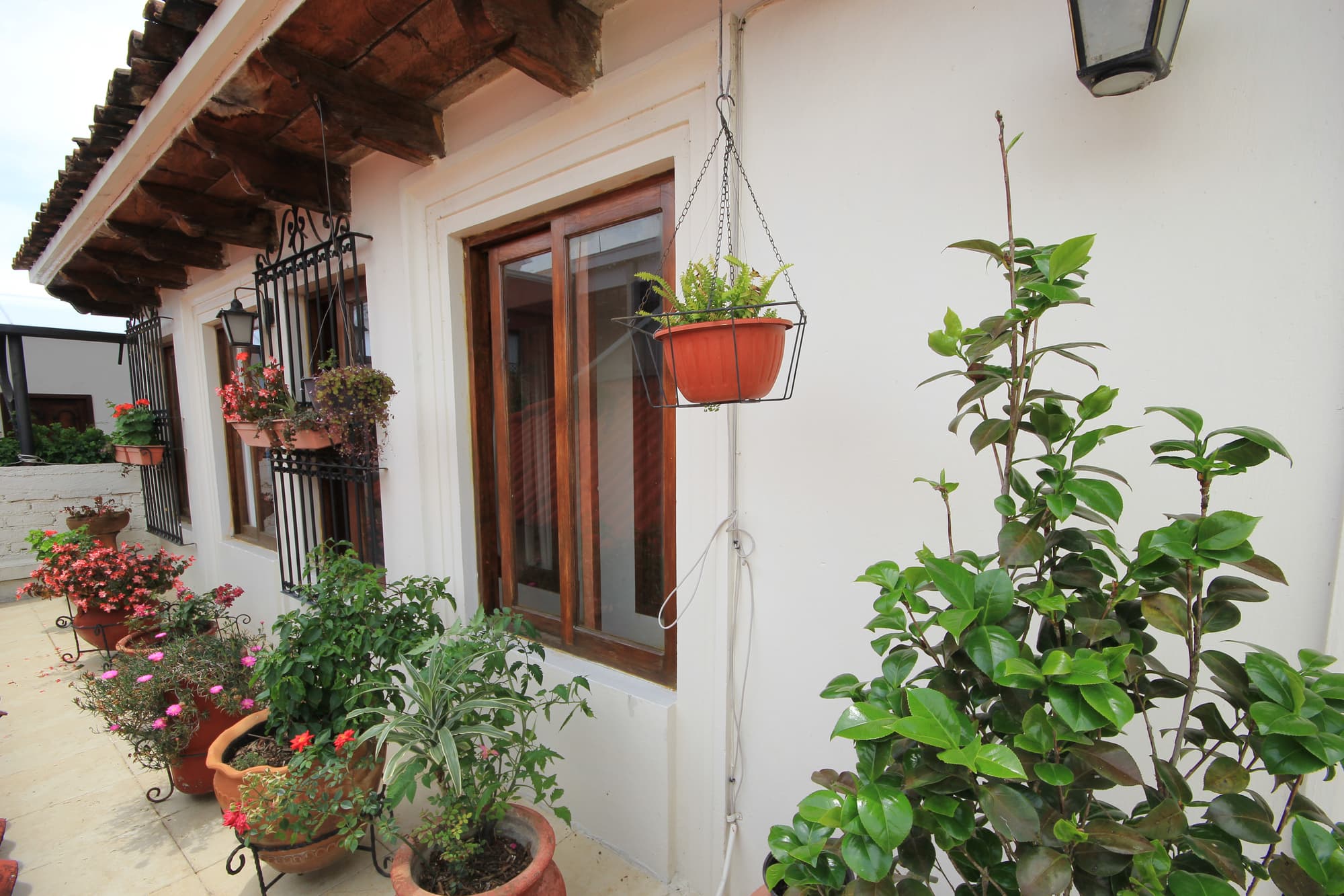 Mansion de los Angeles, Sports and Entertainment